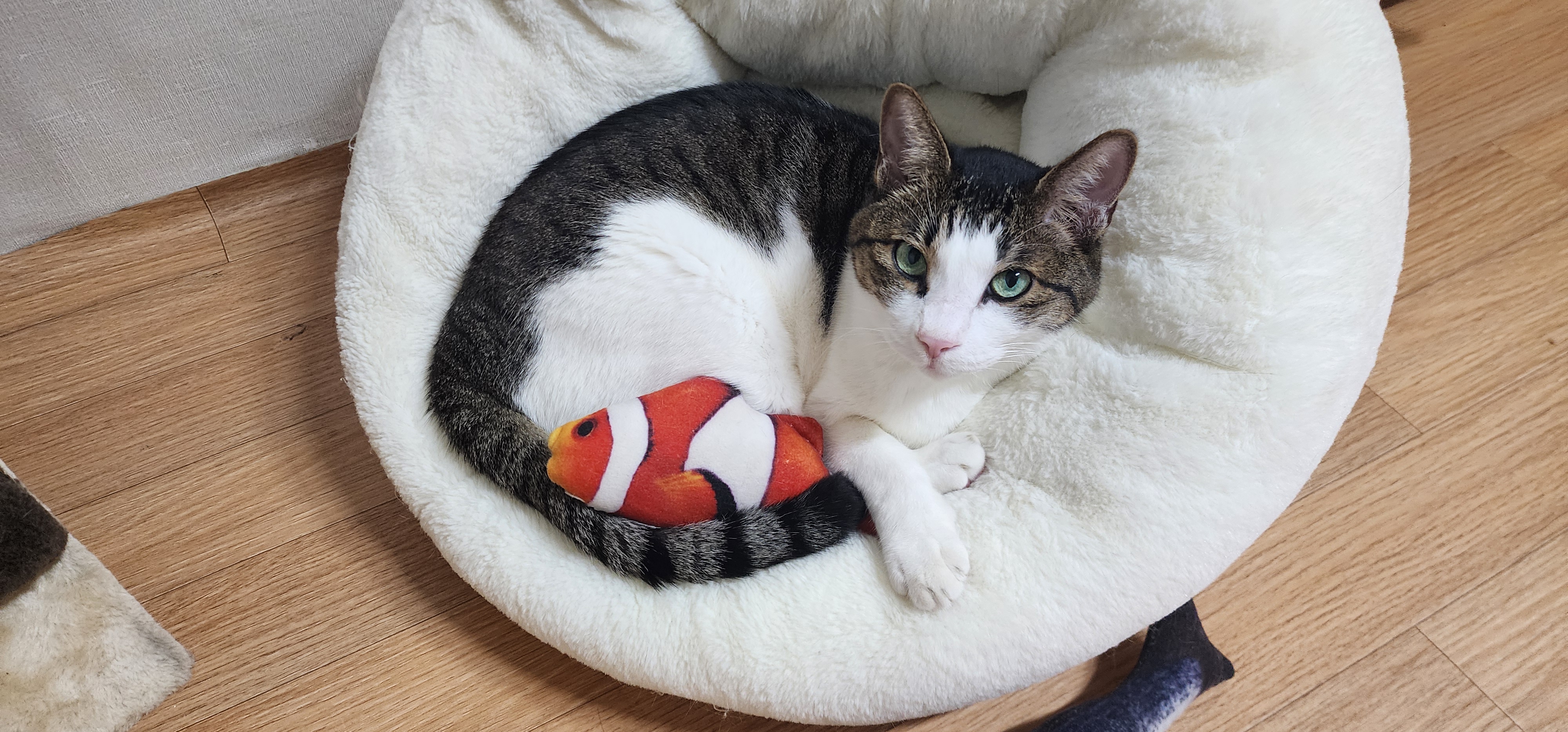 미야랑 함께한 추억