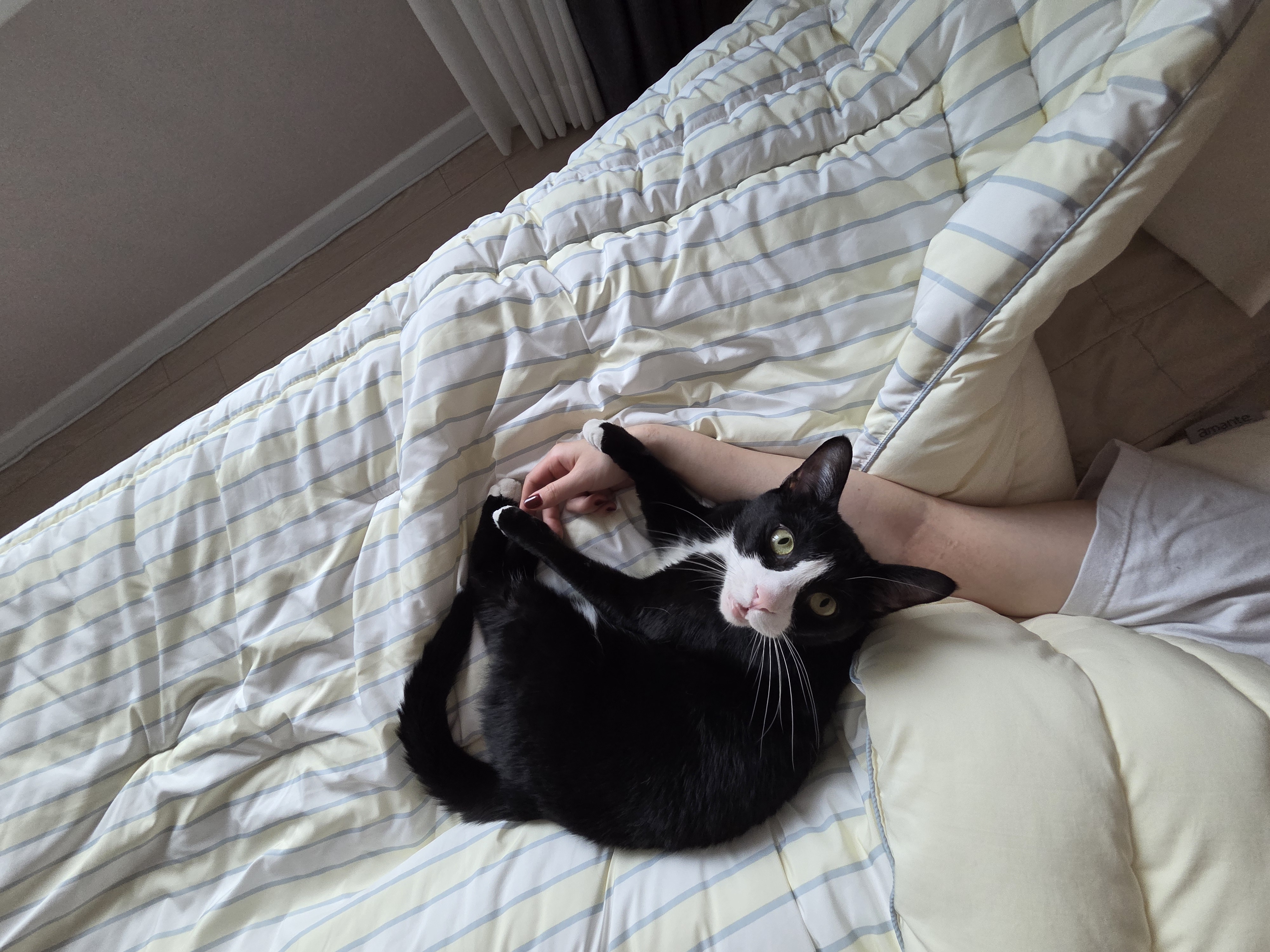 허밍이 입양 2년차