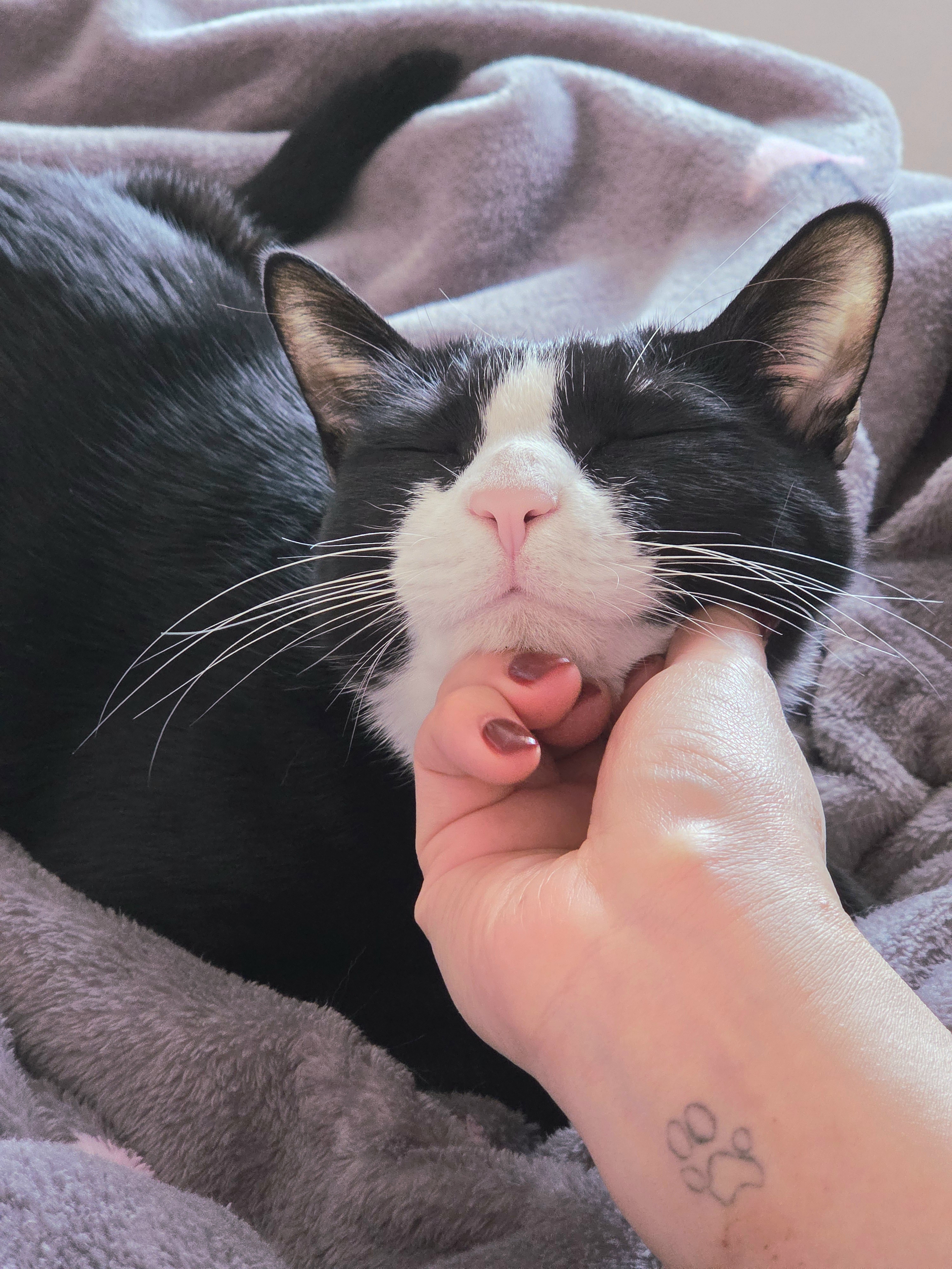 허밍이 입양 2년차