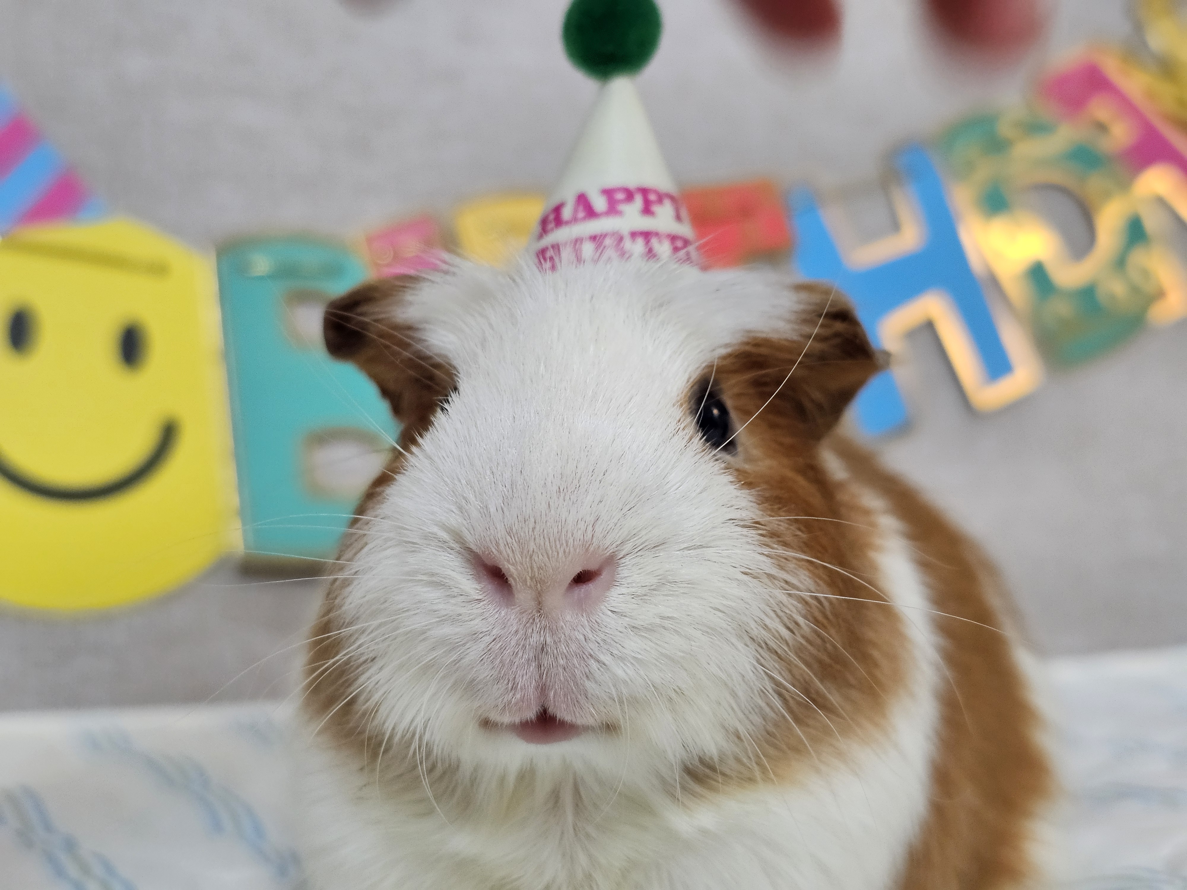 [마론크림] 5주년 생일파티