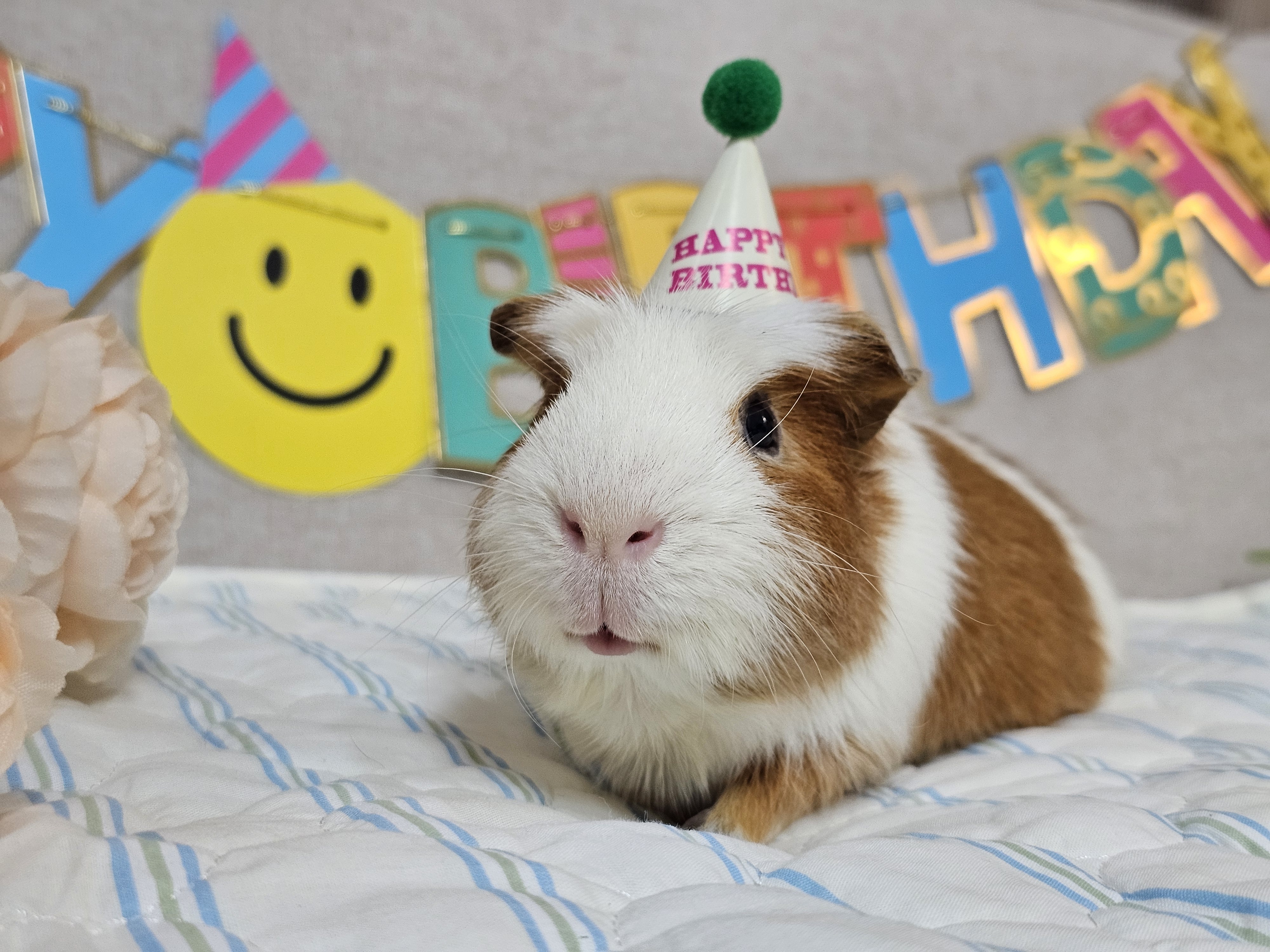 [마론크림] 5주년 생일파티