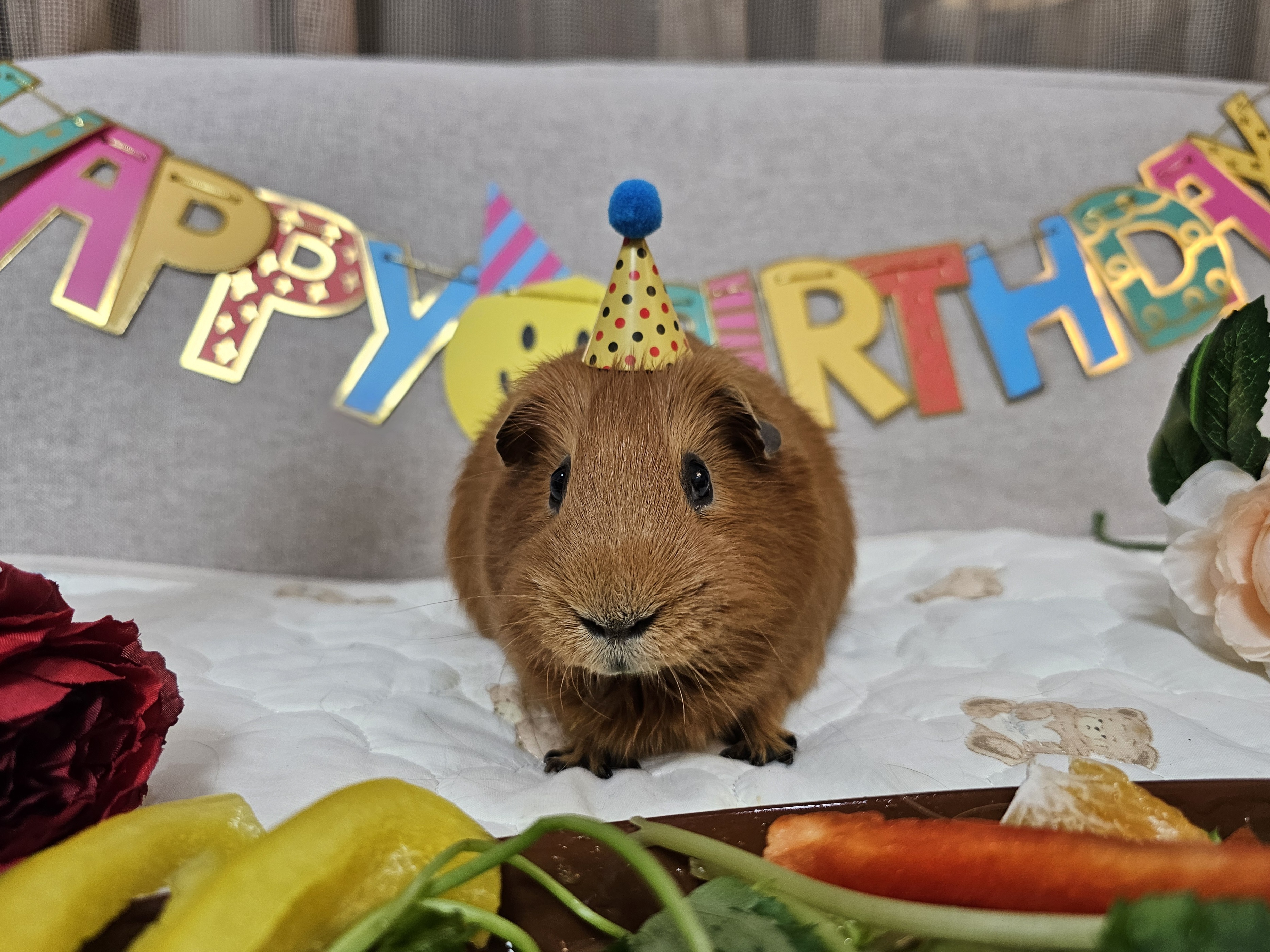 [마론크림] 5주년 생일파티