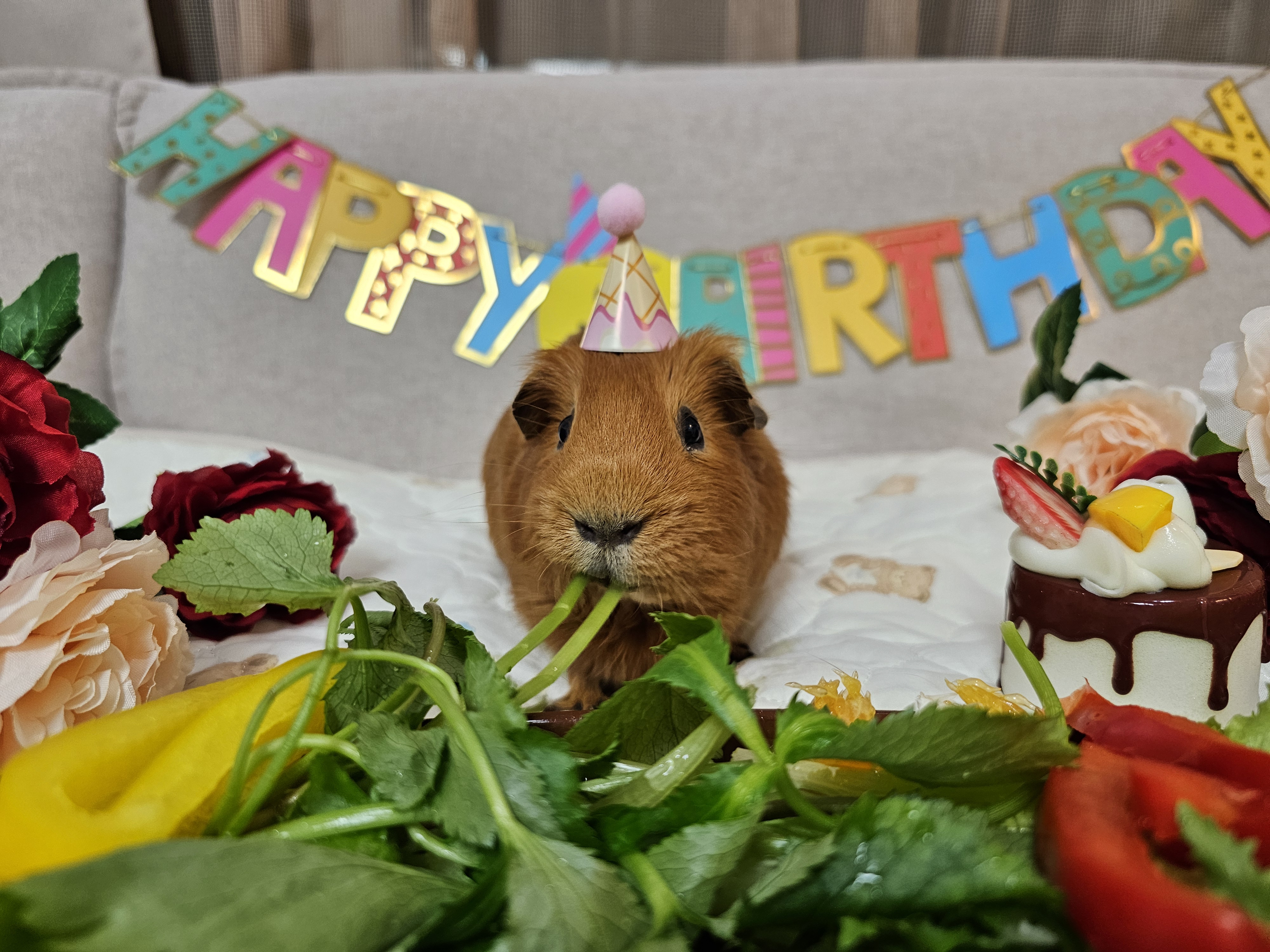 [마론크림] 5주년 생일파티