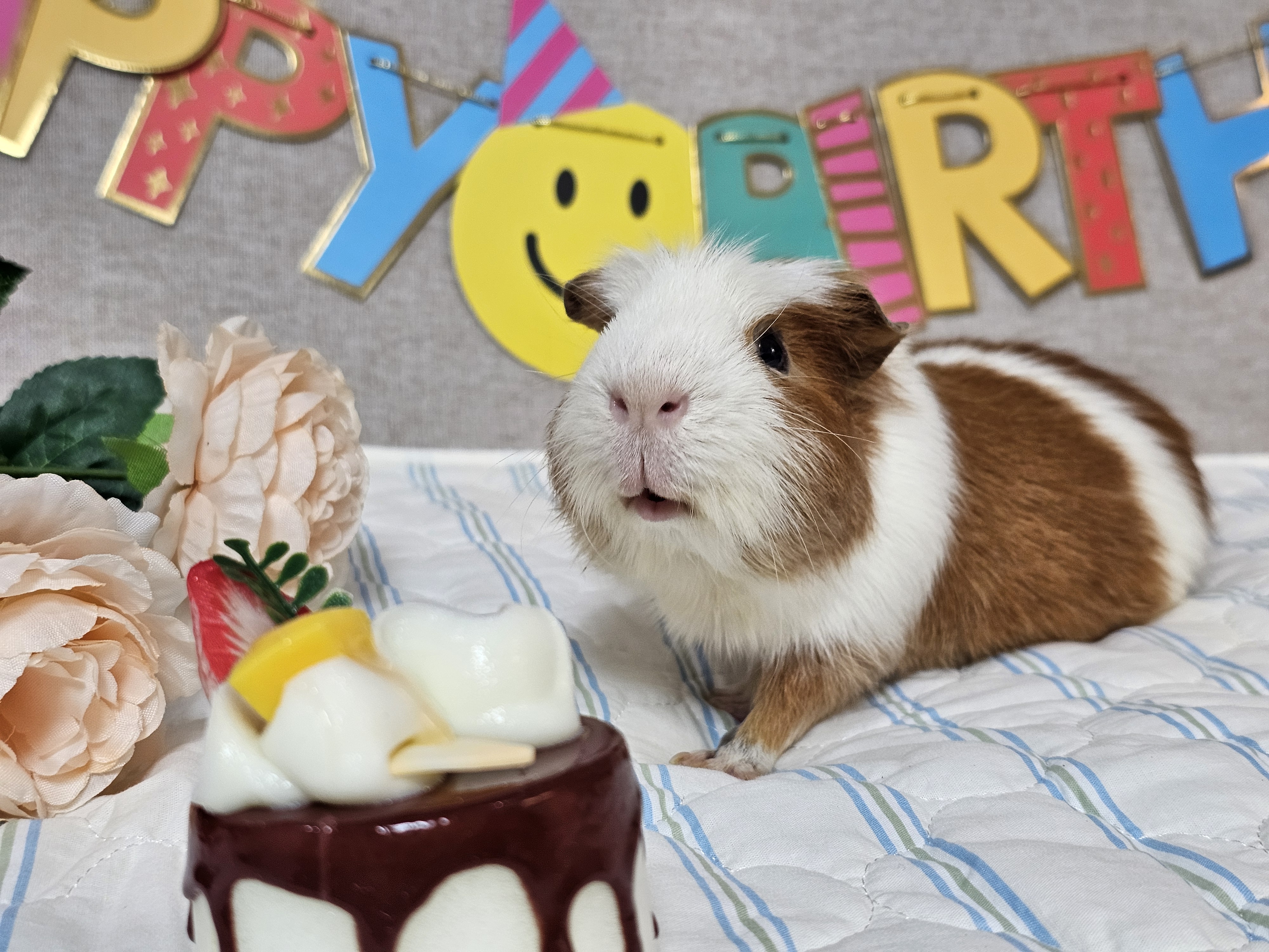 [마론크림] 5주년 생일파티