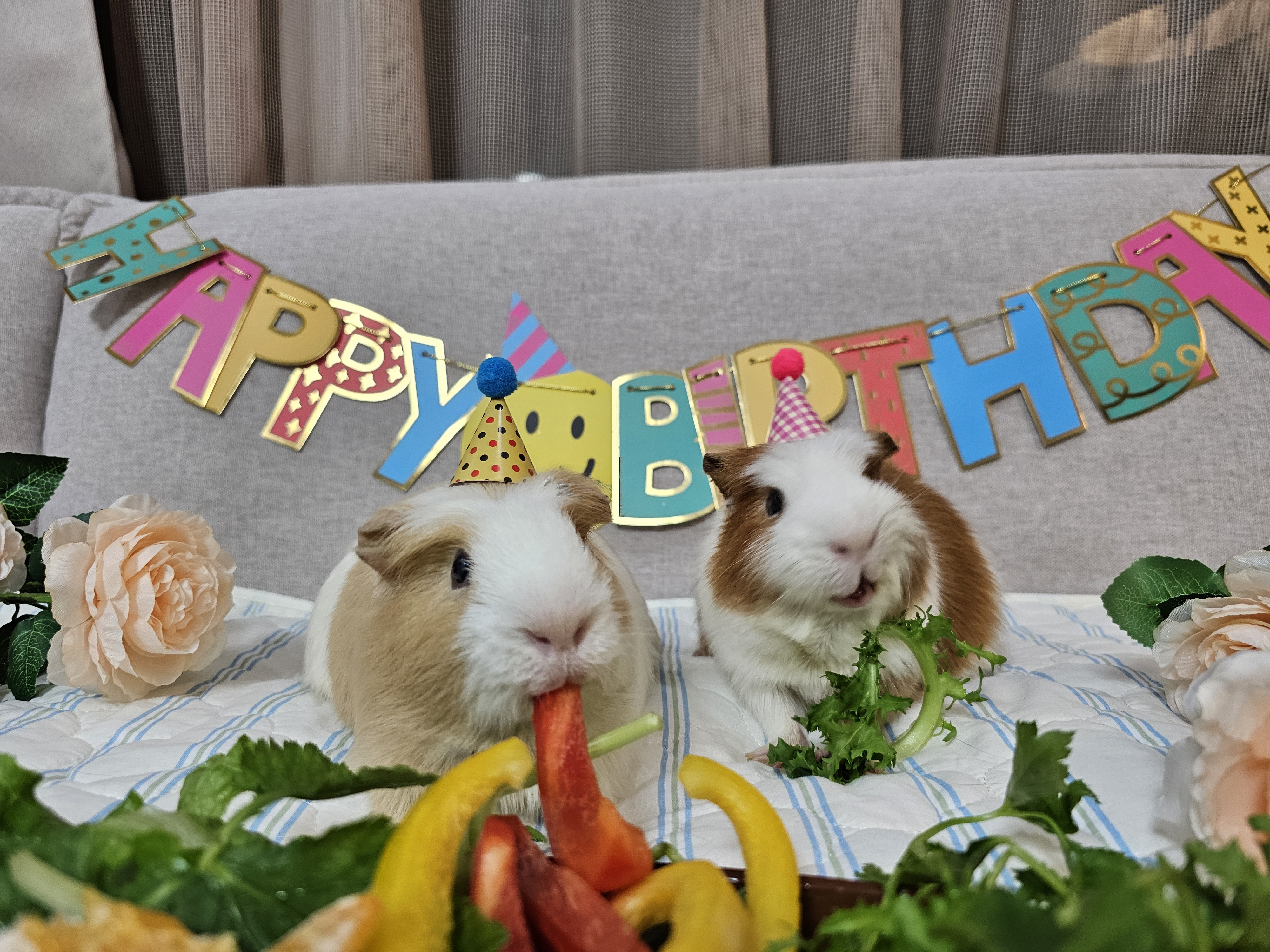 [마론크림] 5주년 생일파티