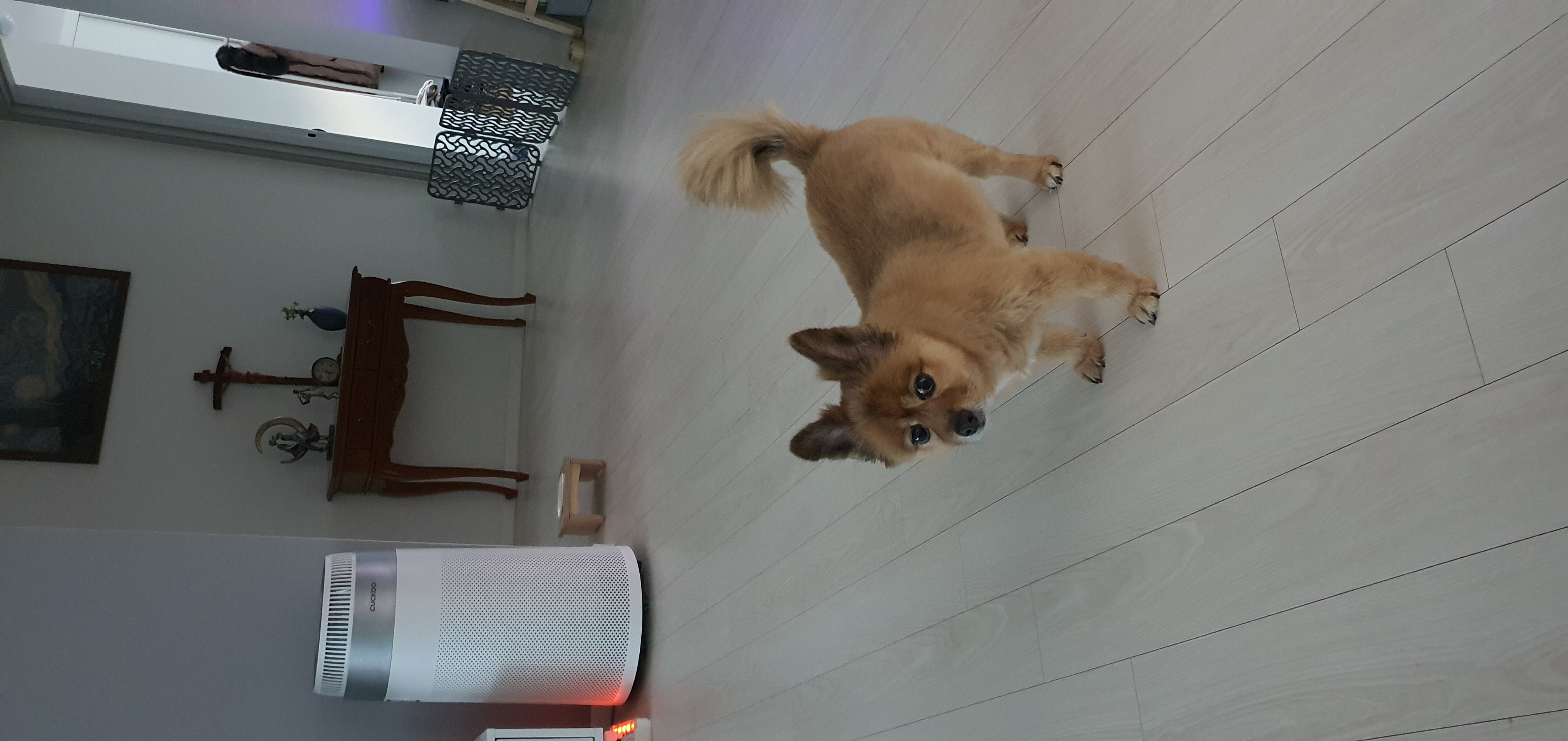 우리 멜란이 4년 넘고 5년째들어가요