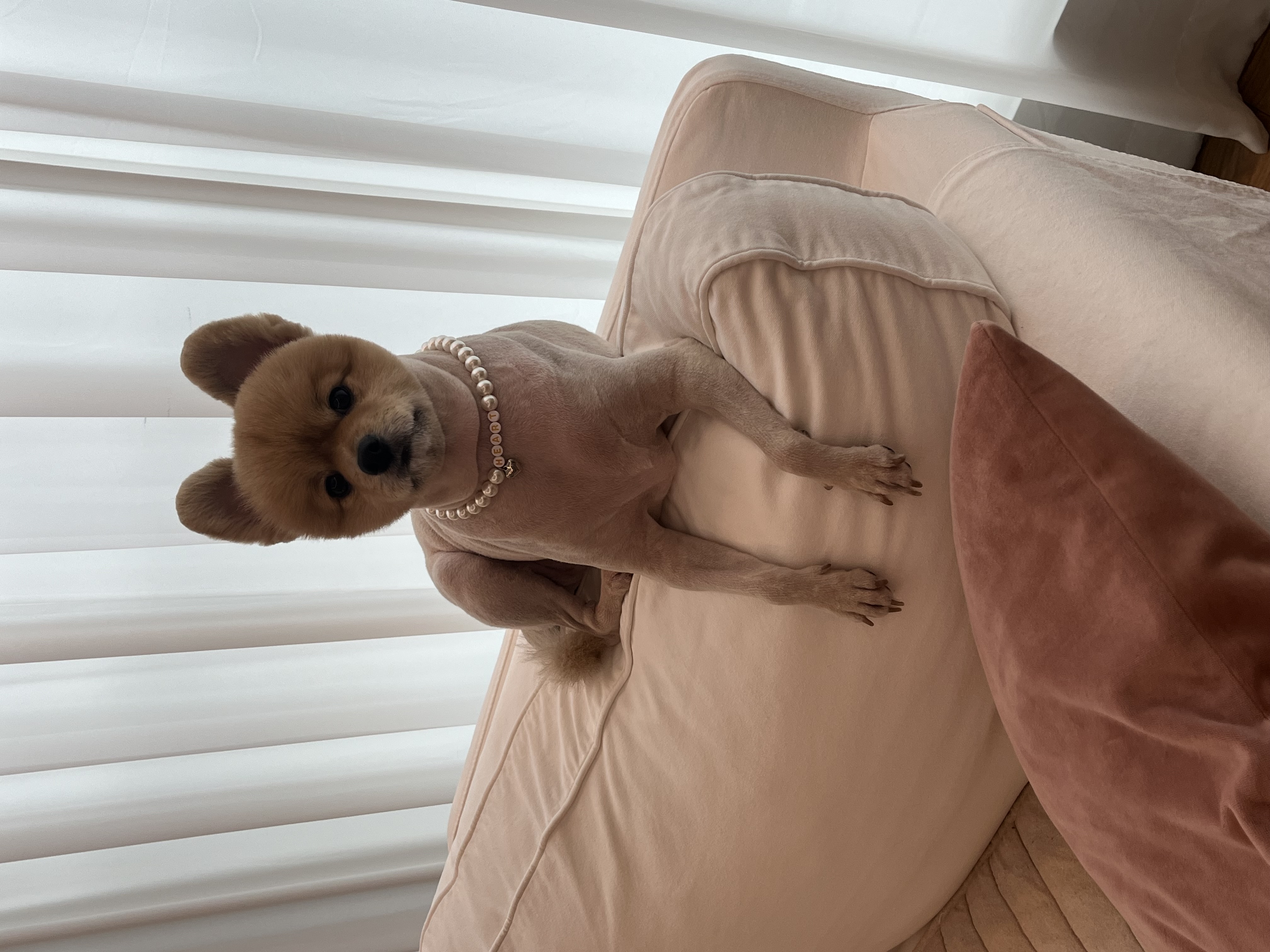 곤지암 그일이~ 현 하트에요❤️