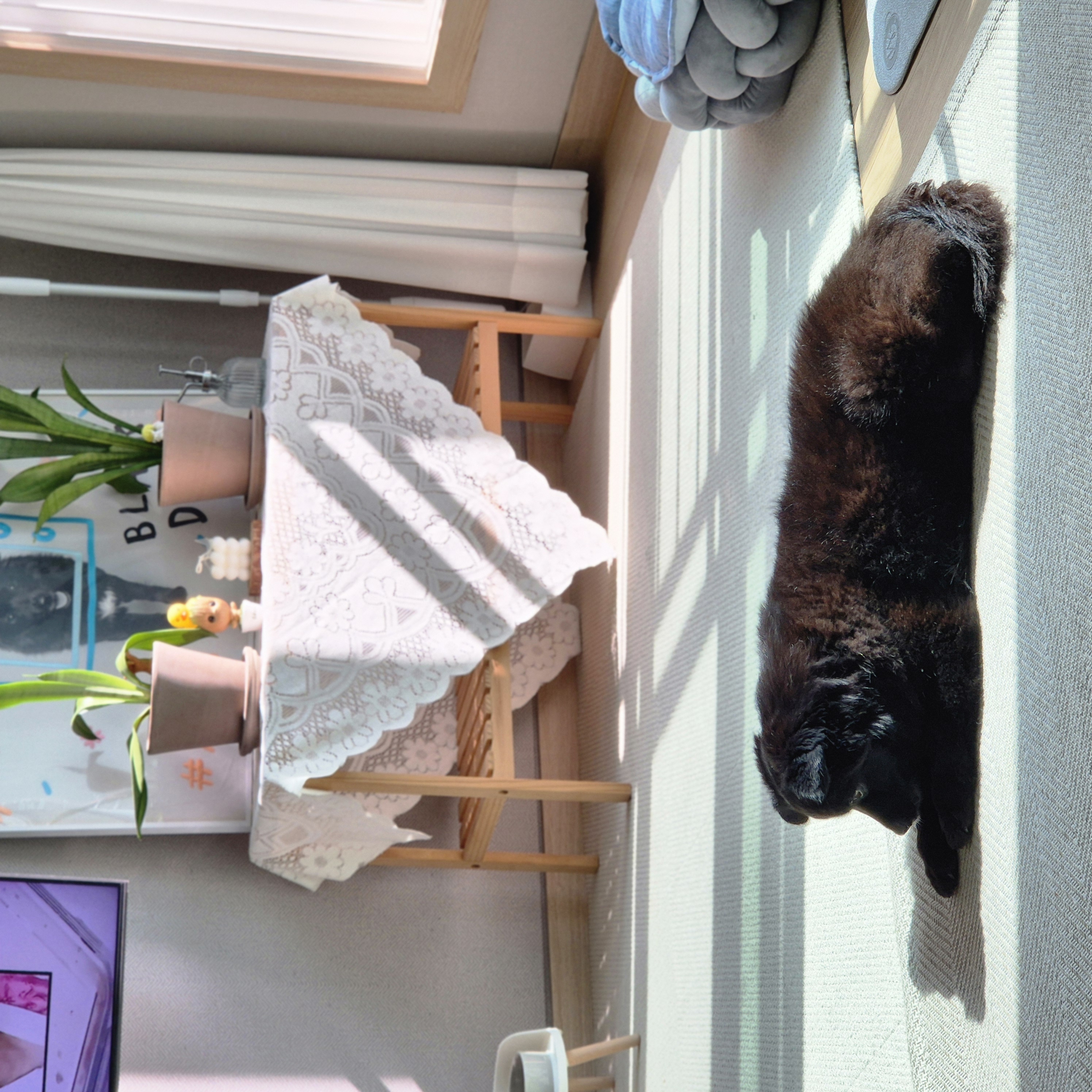 나오미 입양, 벌써 1년이 지났네요