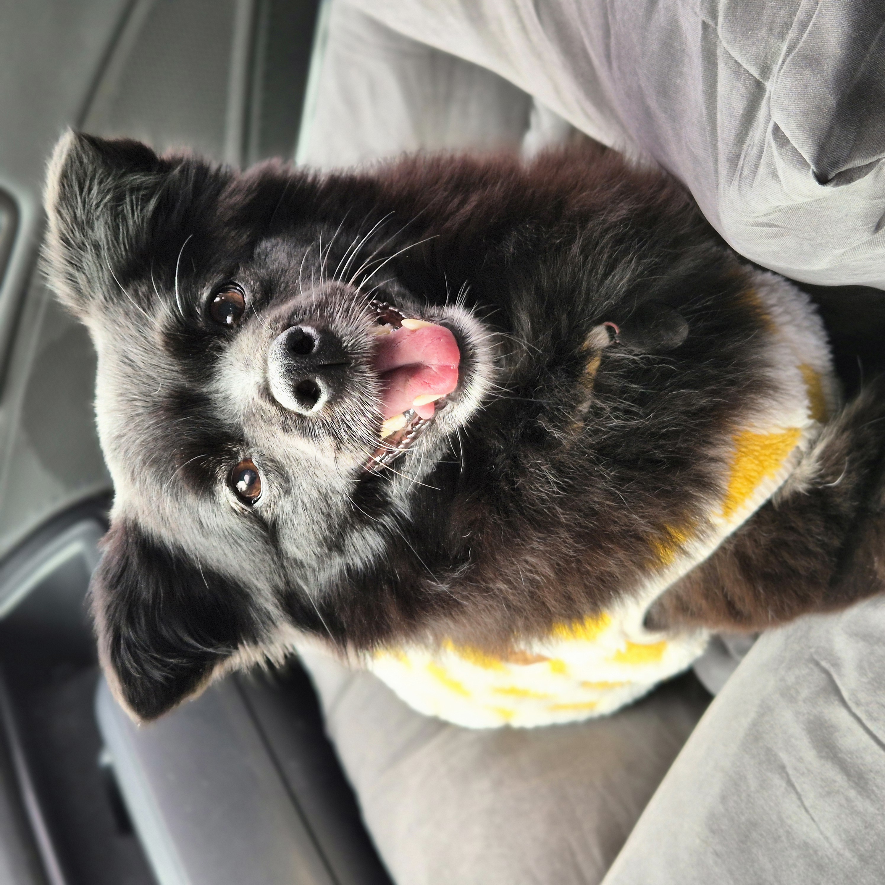 나오미 입양, 벌써 1년이 지났네요