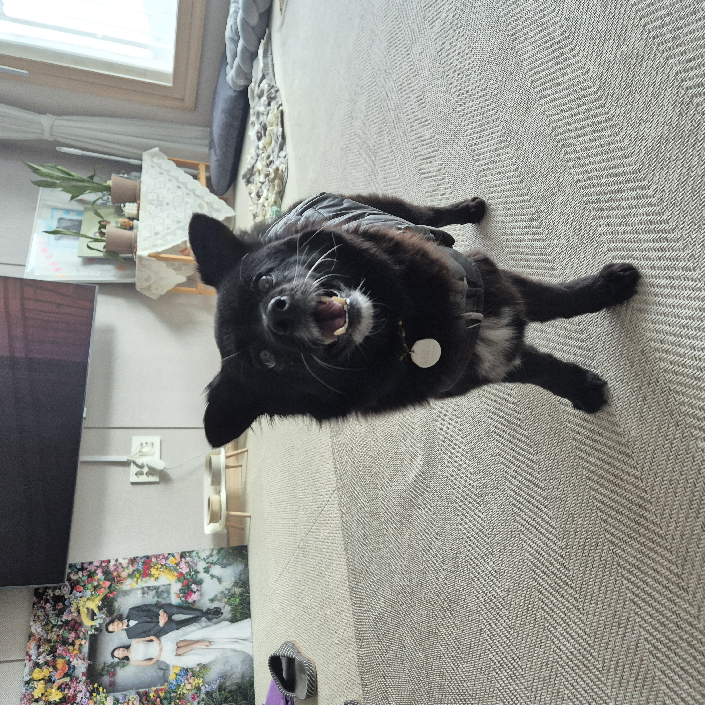 나오미 입양, 벌써 1년이 지났네요