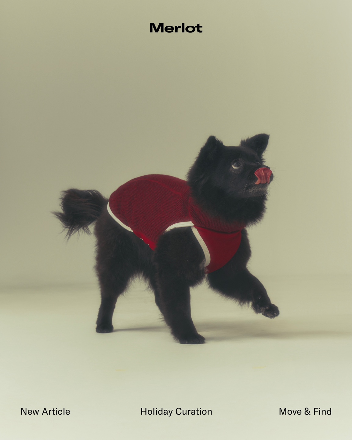 나오미 입양, 벌써 1년이 지났네요