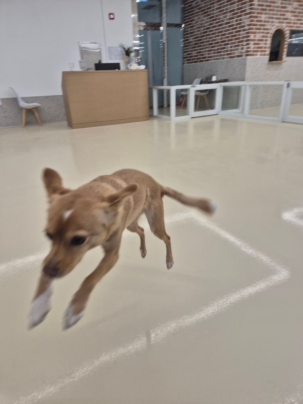 뽀또(이포)의 행복한 막내일기 <5>