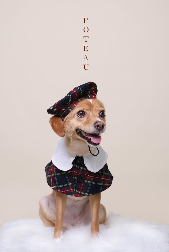 뽀또(이포)의 행복한 막내일기 <5>