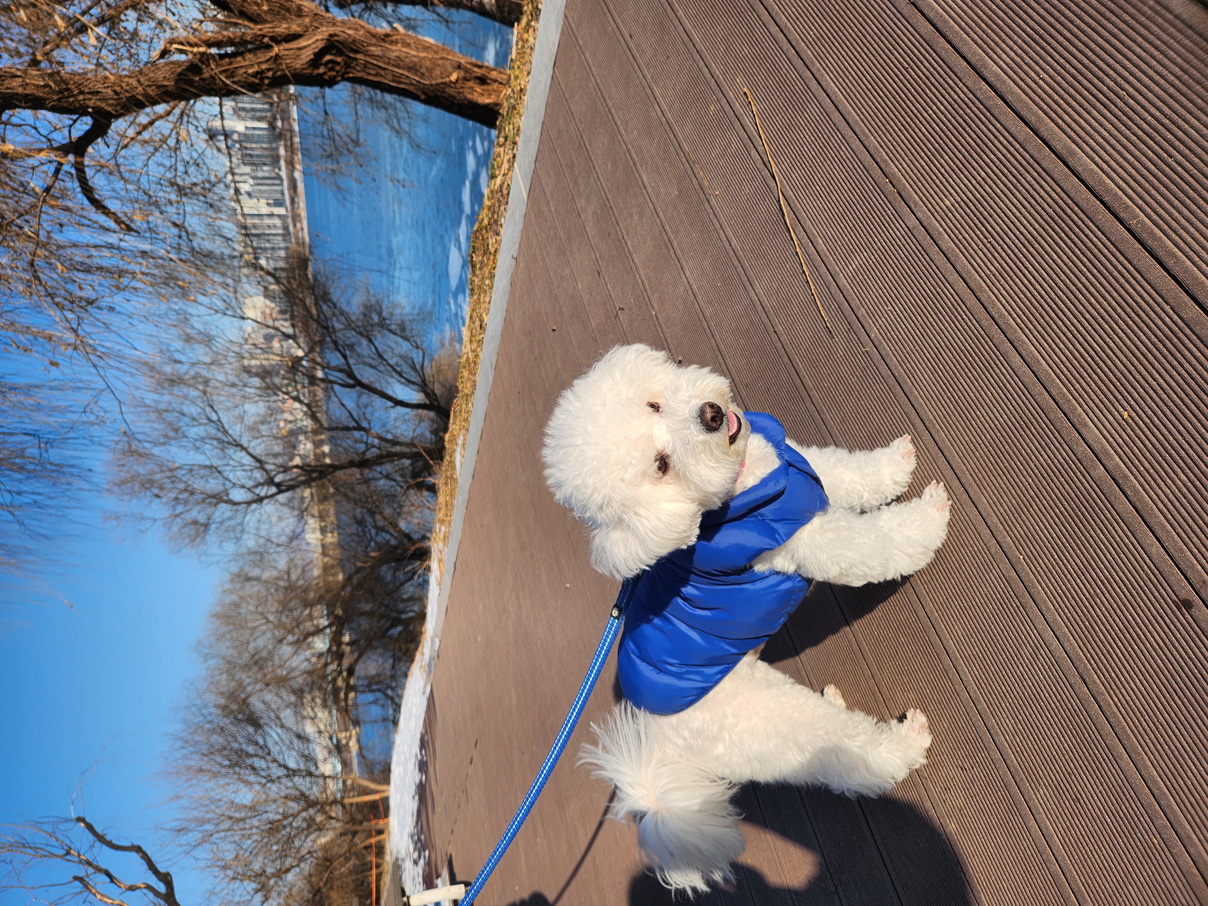 겨울이 (곤지암 하이) 4년 후기