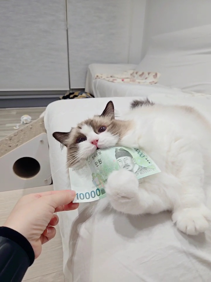 미야오(마시) 우리는 가족 : 3개월 차