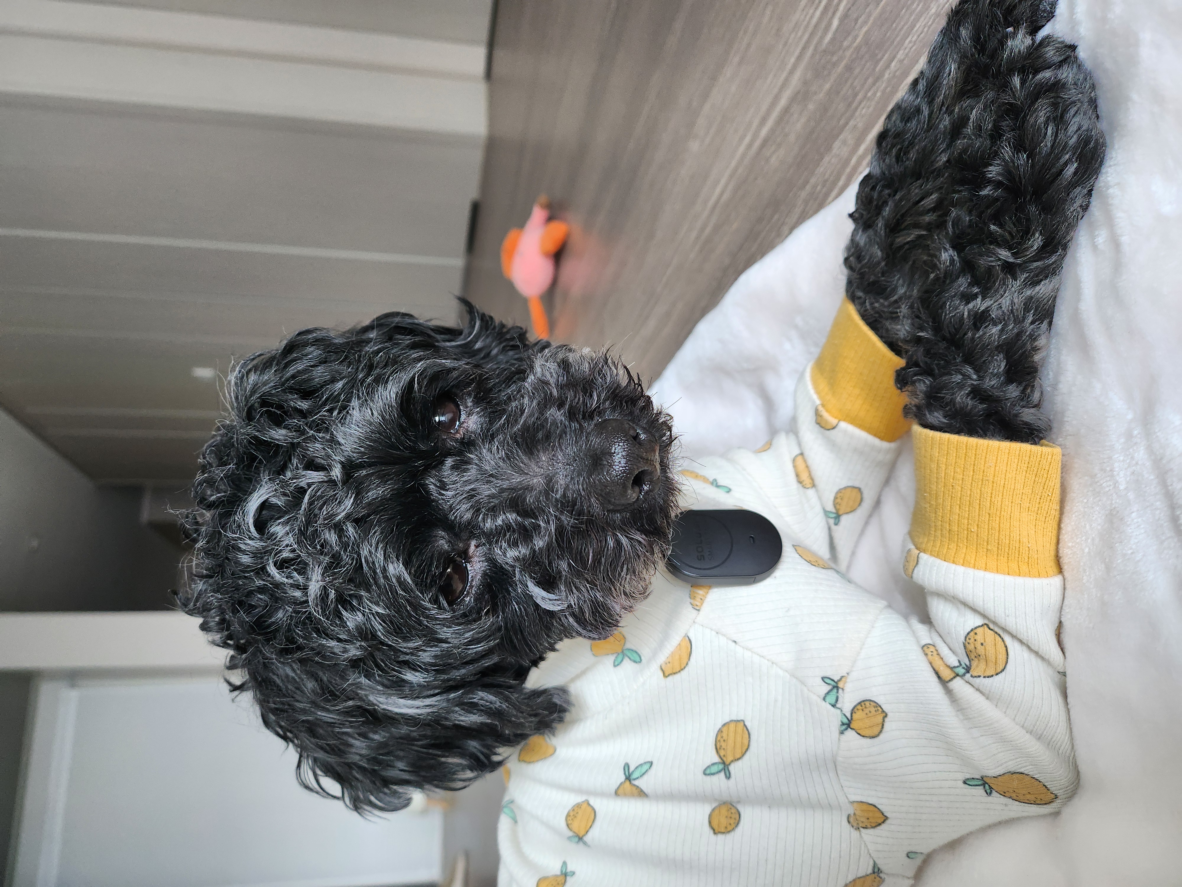 깜동이 벌써 일주일 됐어요~