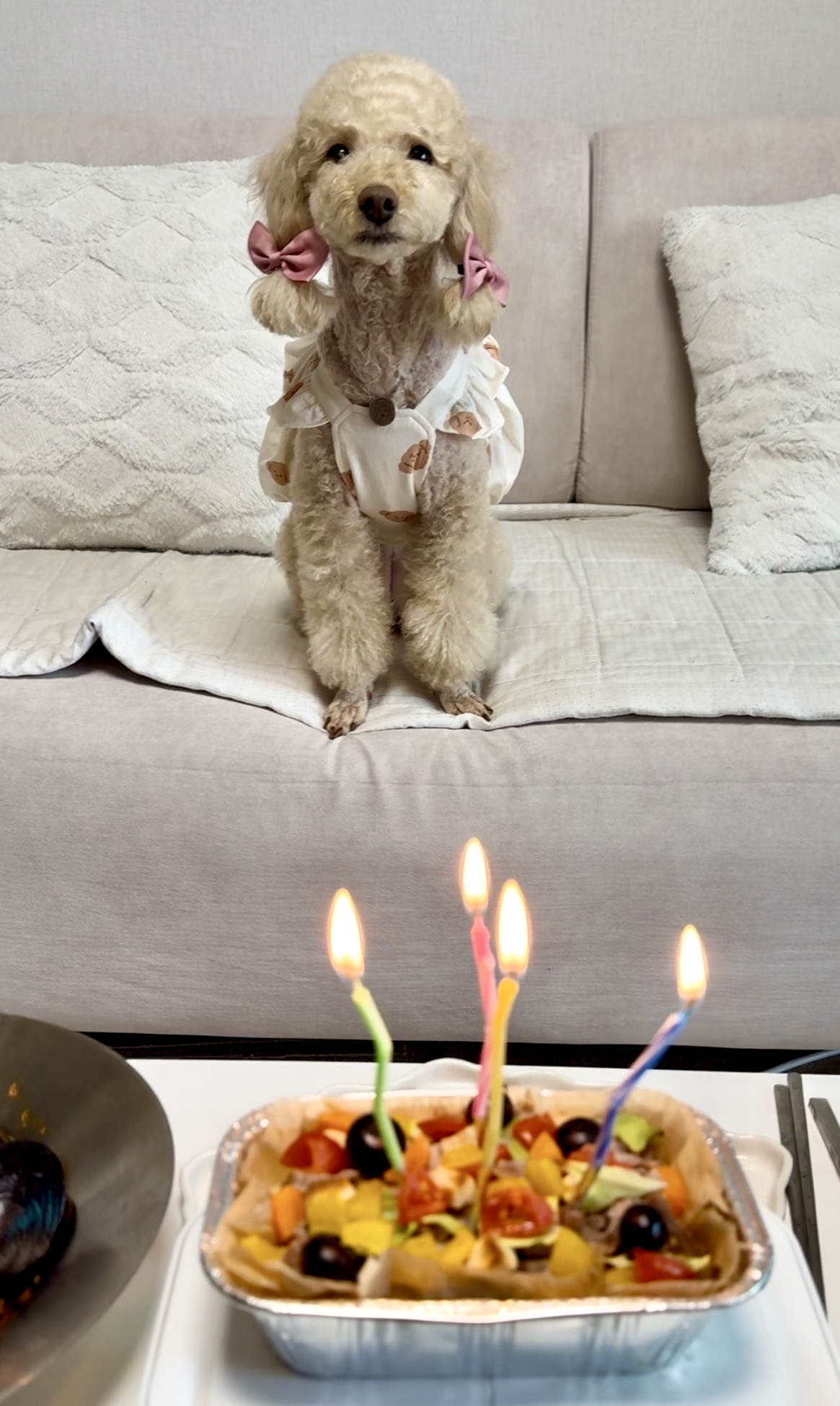 벌써 4년, 초이(곤지암 해삼)