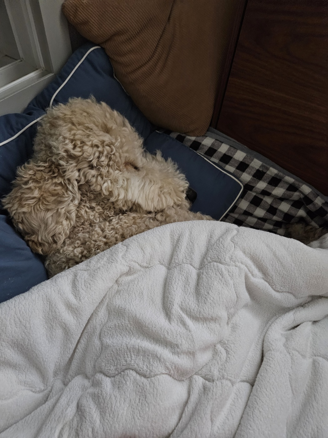 푸돌이(루이) 돌 지났어요~ㅋ