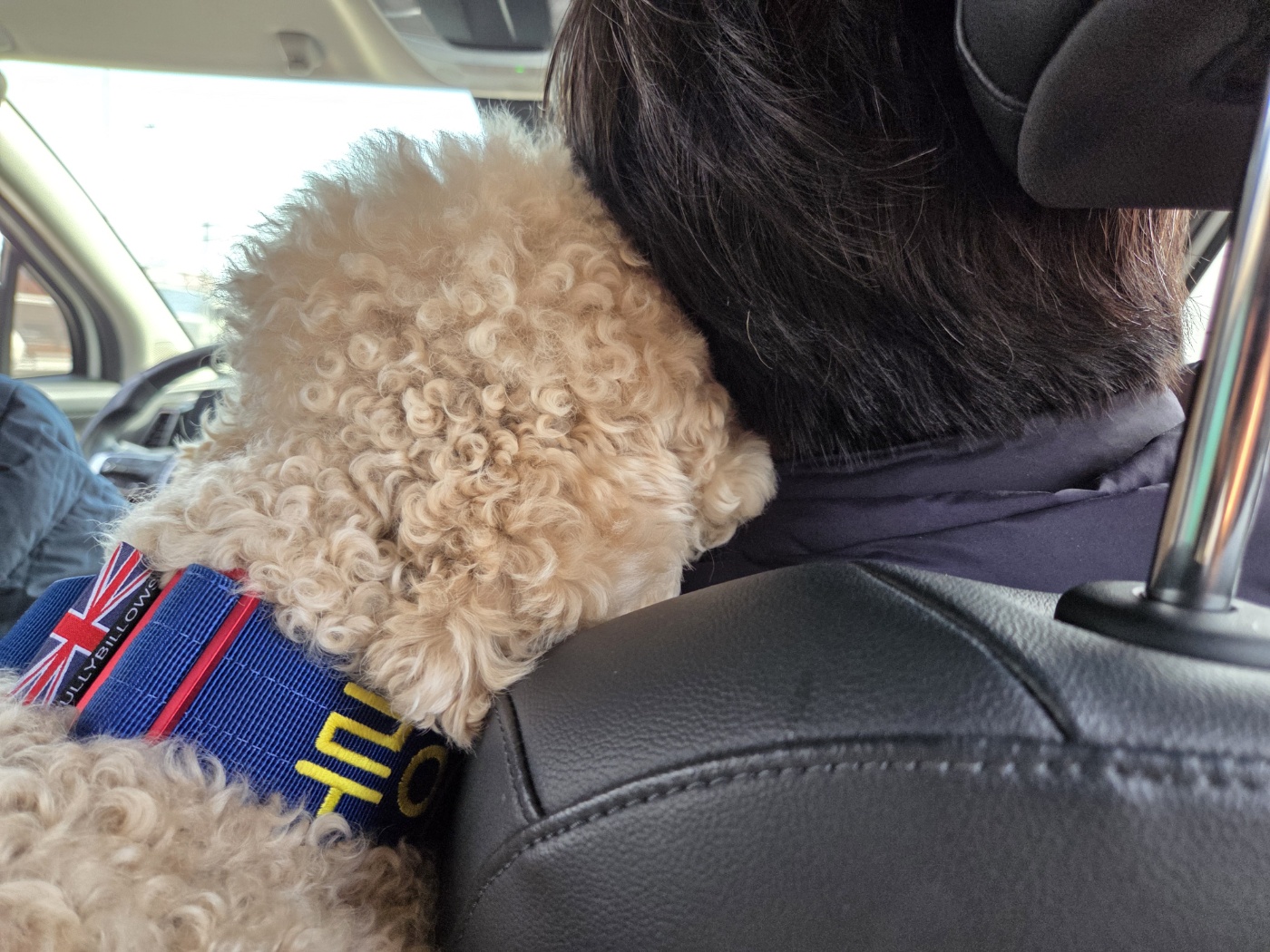 푸돌이(루이) 돌 지났어요~ㅋ