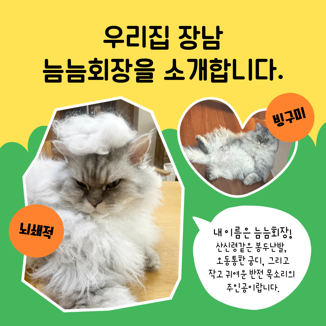 늠늠(회장)이와 쵸쵸(베비)와의 한달