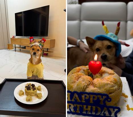 호두(구.오트) 2년 이야기