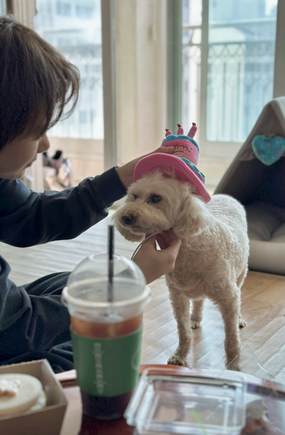 쿠크 4년 됐어요~ (곤지암 구조견)