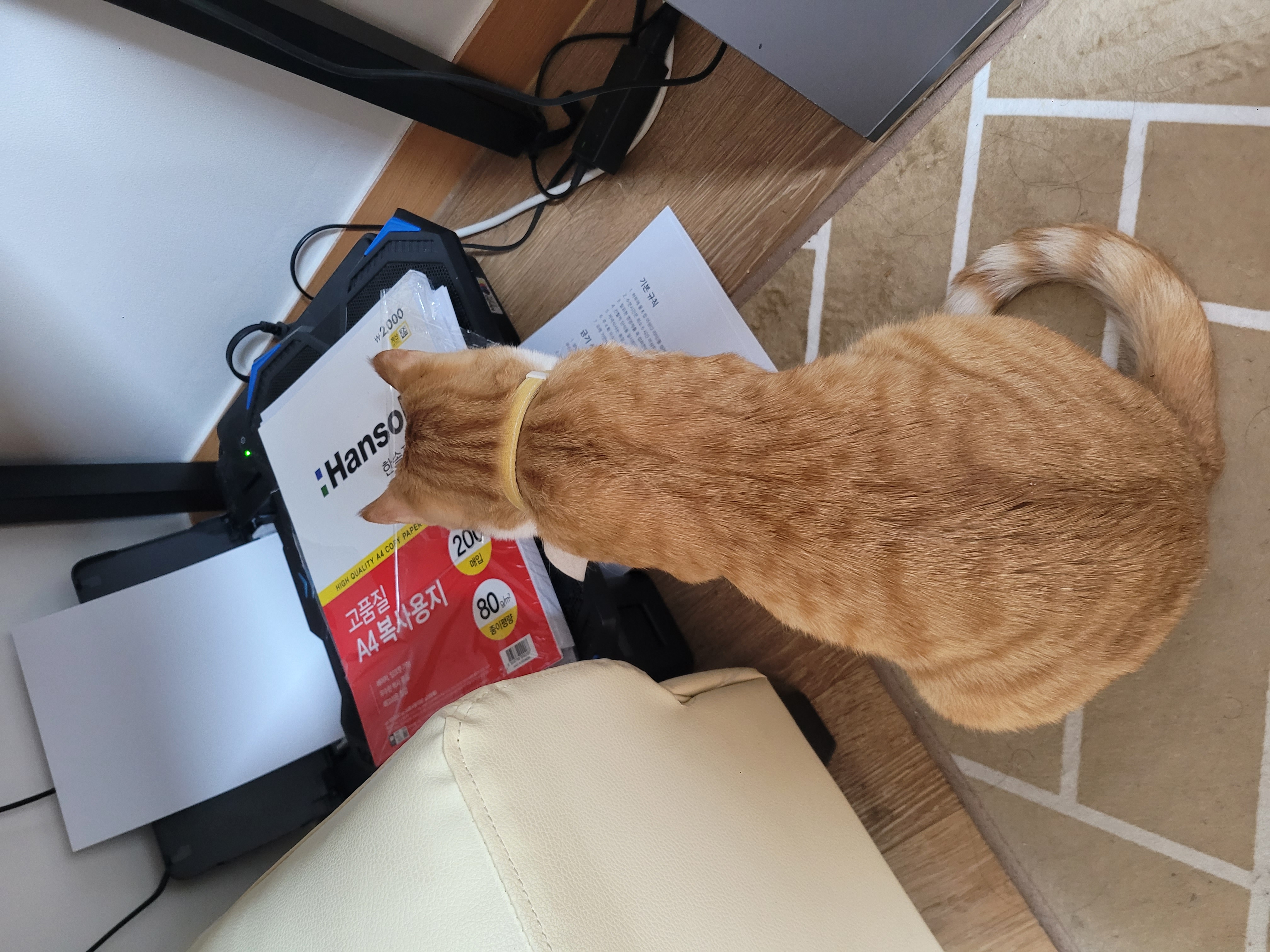 1년2개월후... 더 이뻐진 우리뀨리 