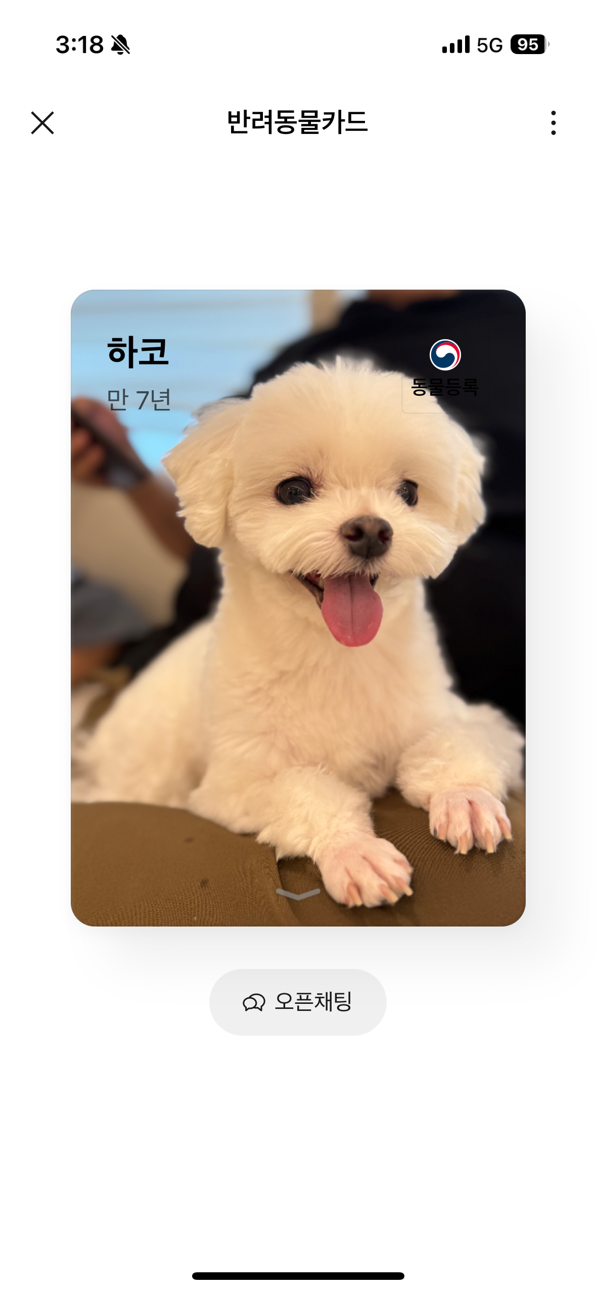 하코 1년차에요!