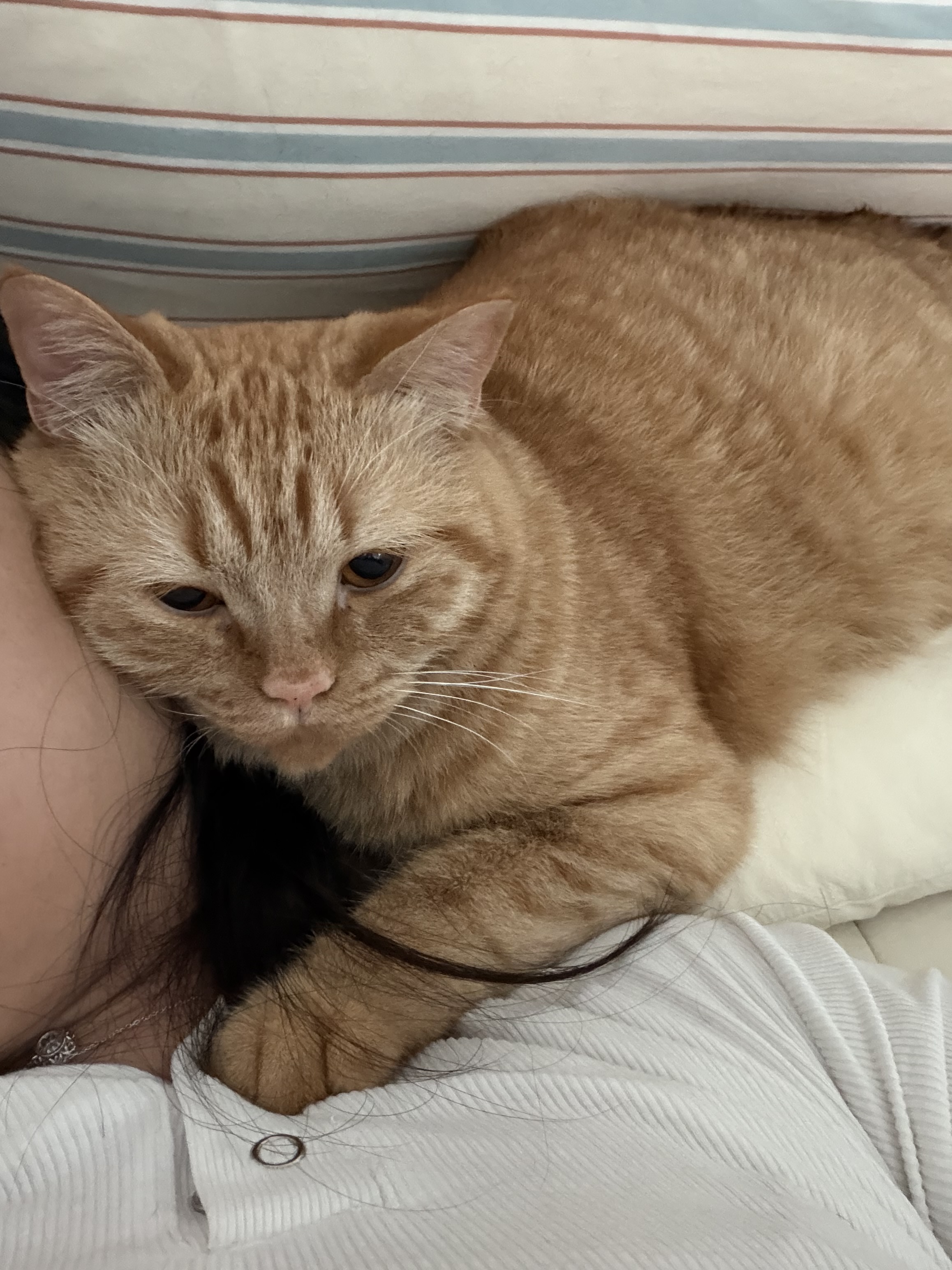 아련눈빛 에몽이 잊지 않으셨죠..?