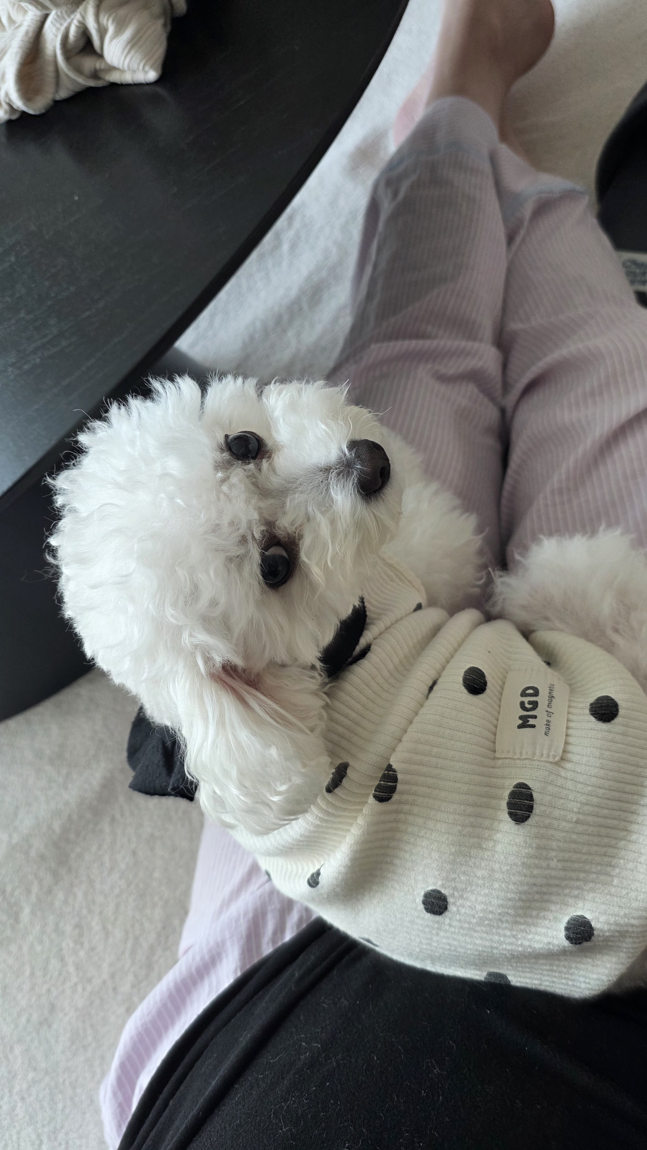 열무(구 아솜이)의 2년 3개월차 이야기