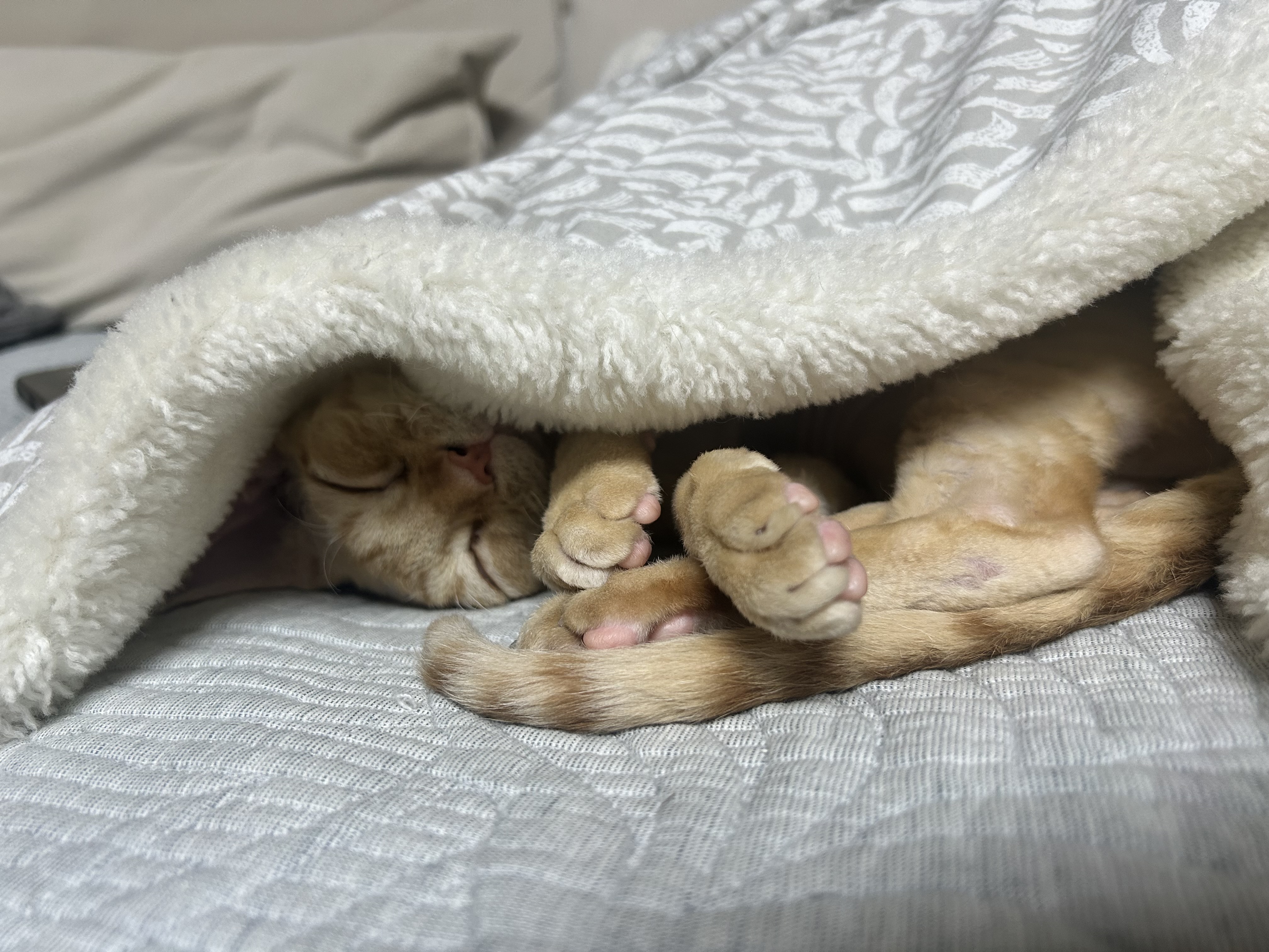 복만이(던노)가 막내가 된지 3개월🤭