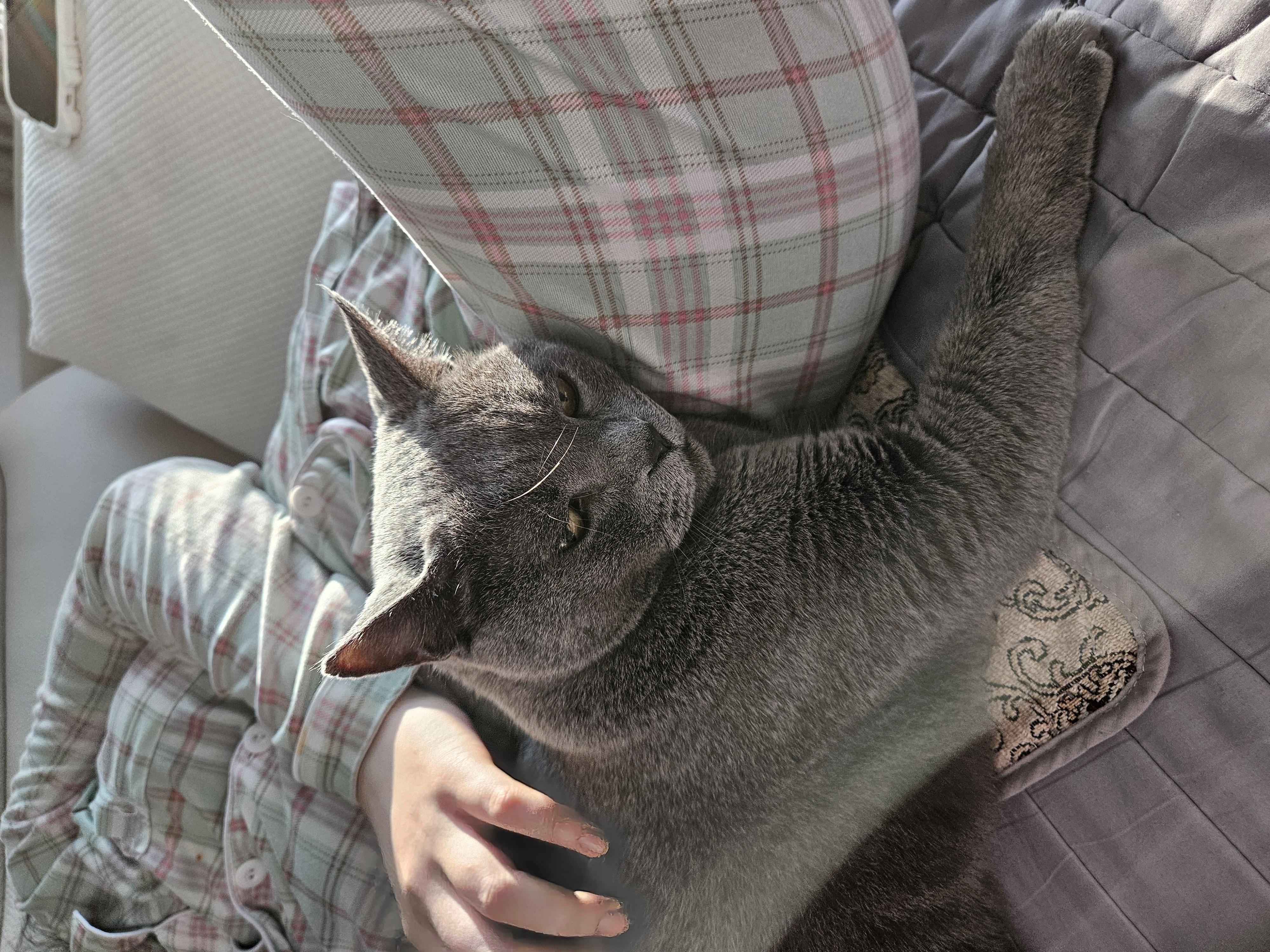 페이(구페퍼) 입양 3개월 후기