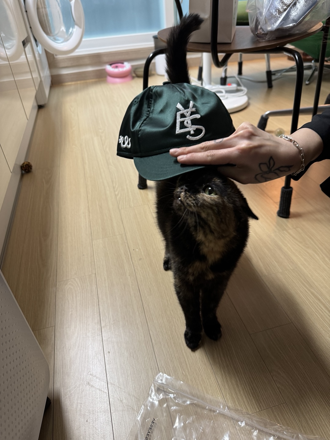 우리 소롱이 3개월 근황 토크토크