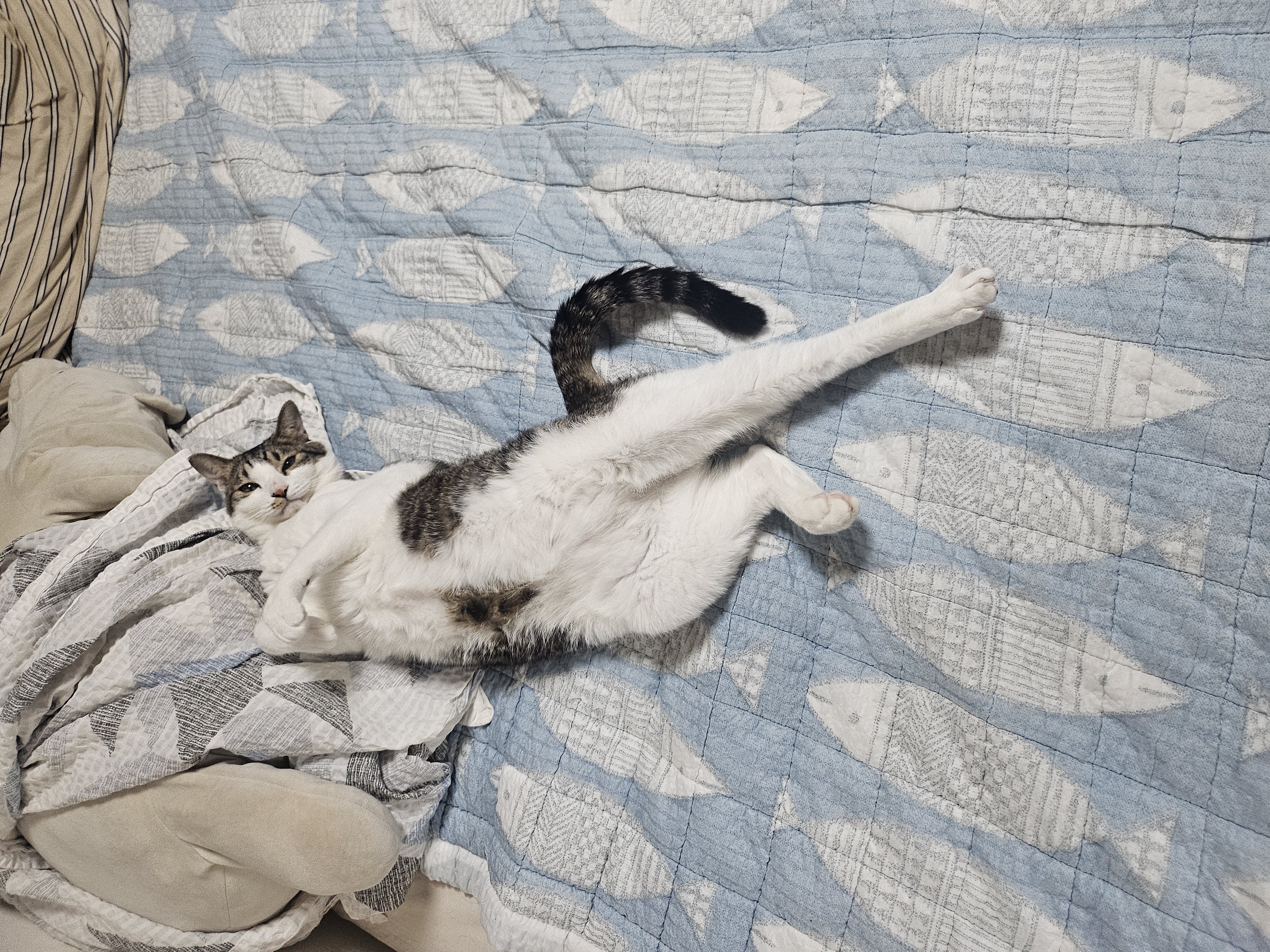 탄이와 또 새로운 2026년으로 (구.해성)