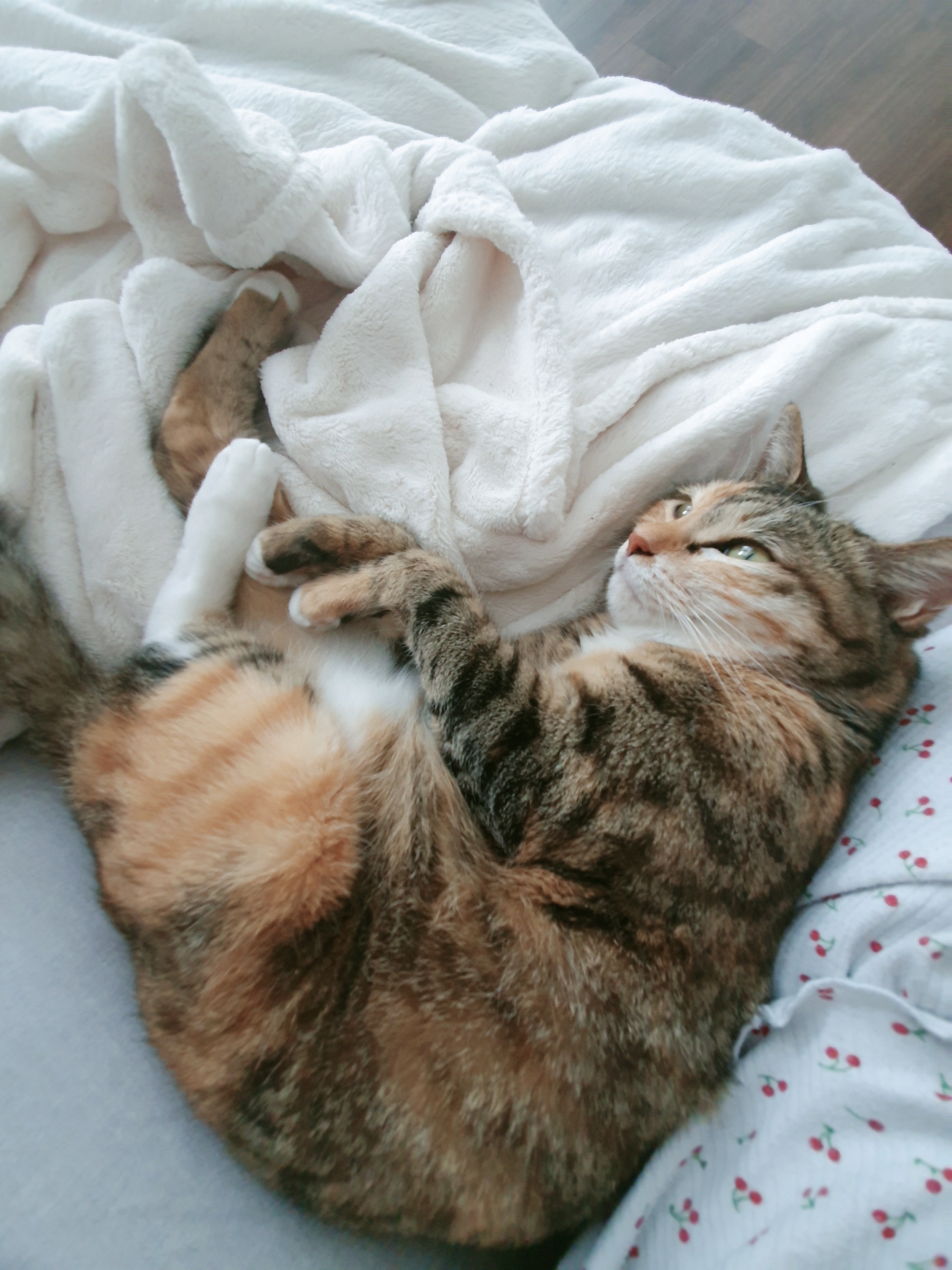 옥희(몰랑이)복희(동백이) 5년째