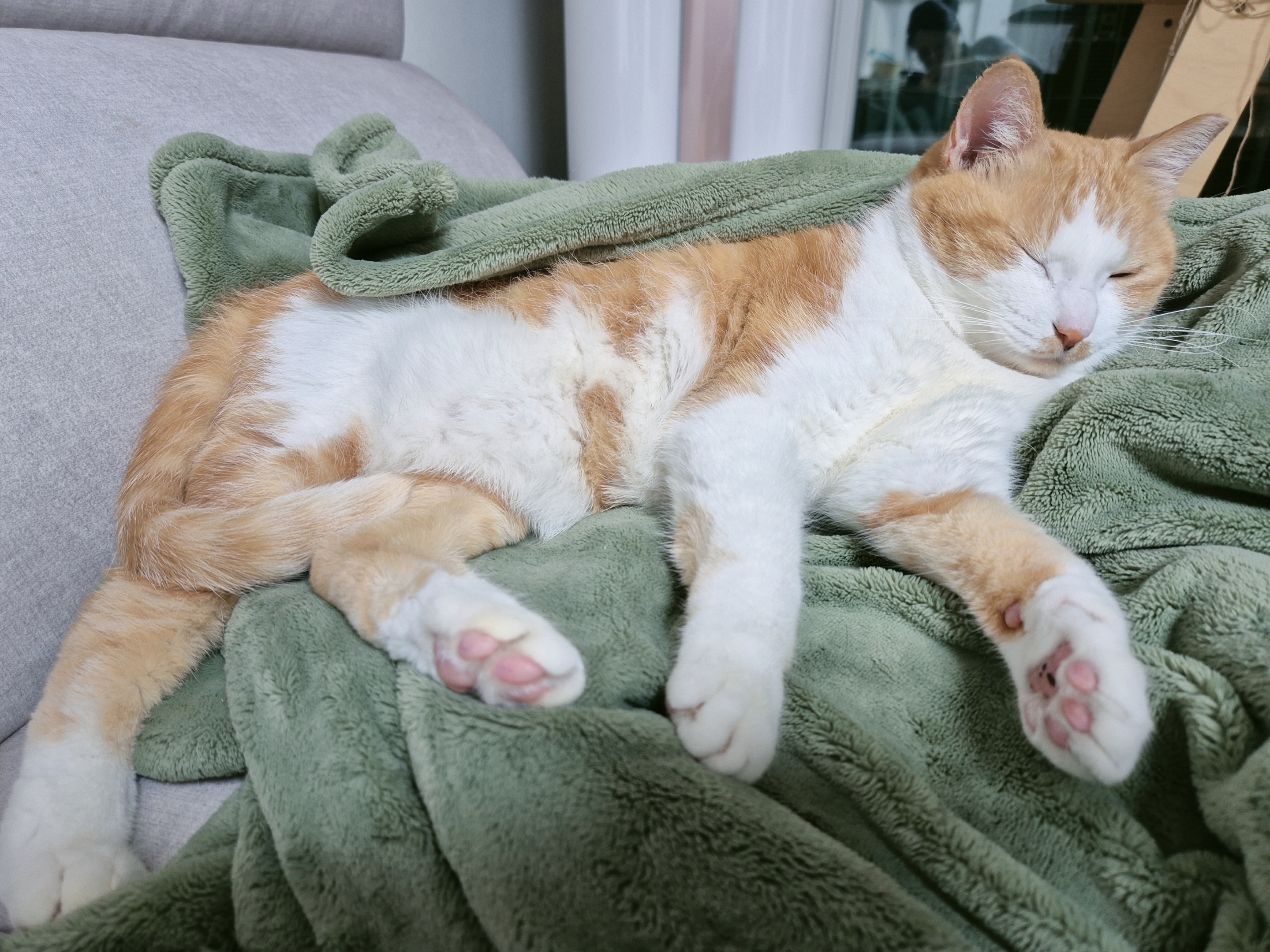 옥희(몰랑이)복희(동백이) 5년째