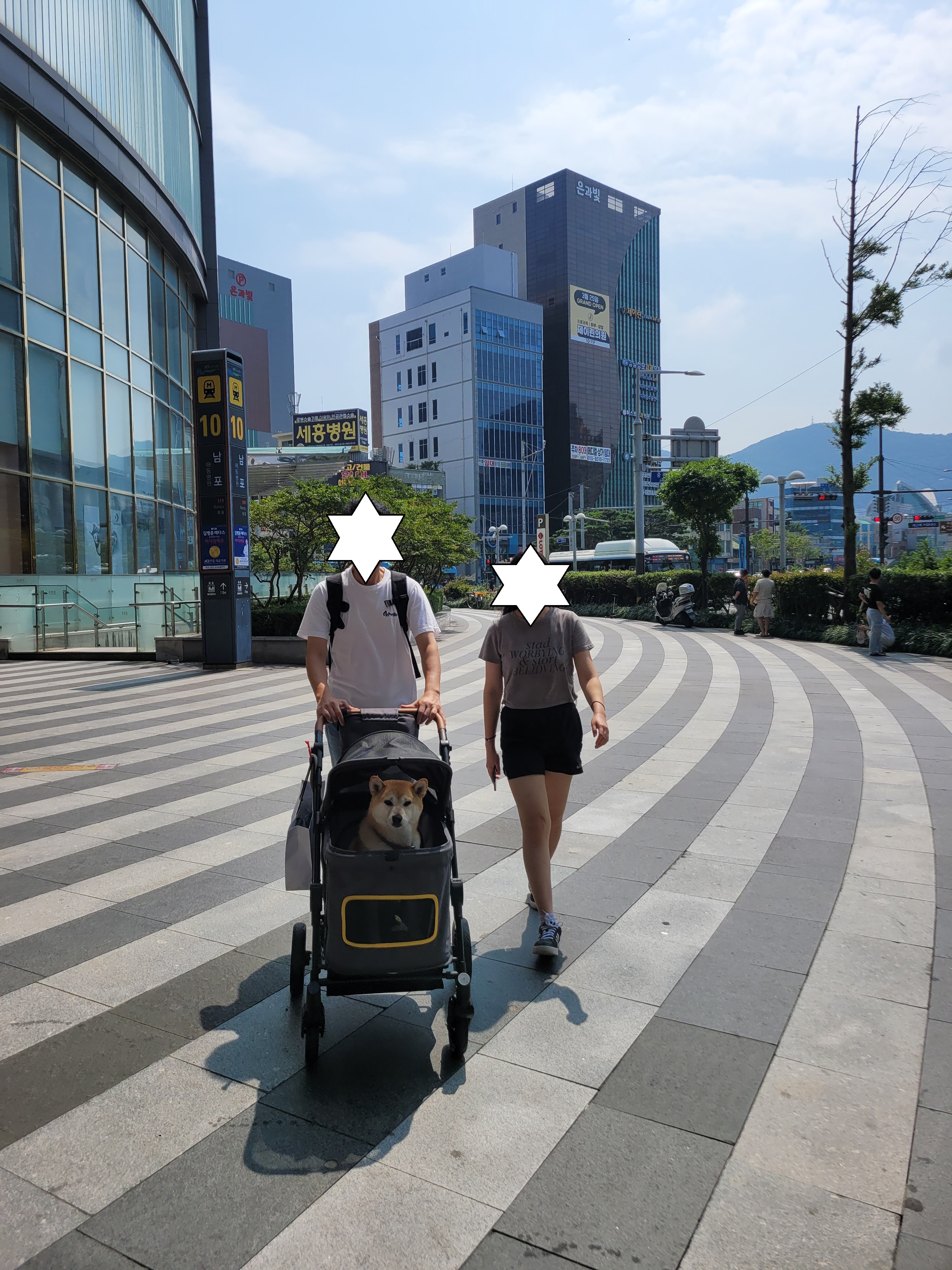 보령 뚱이(뚱땅)와 함께한 1년