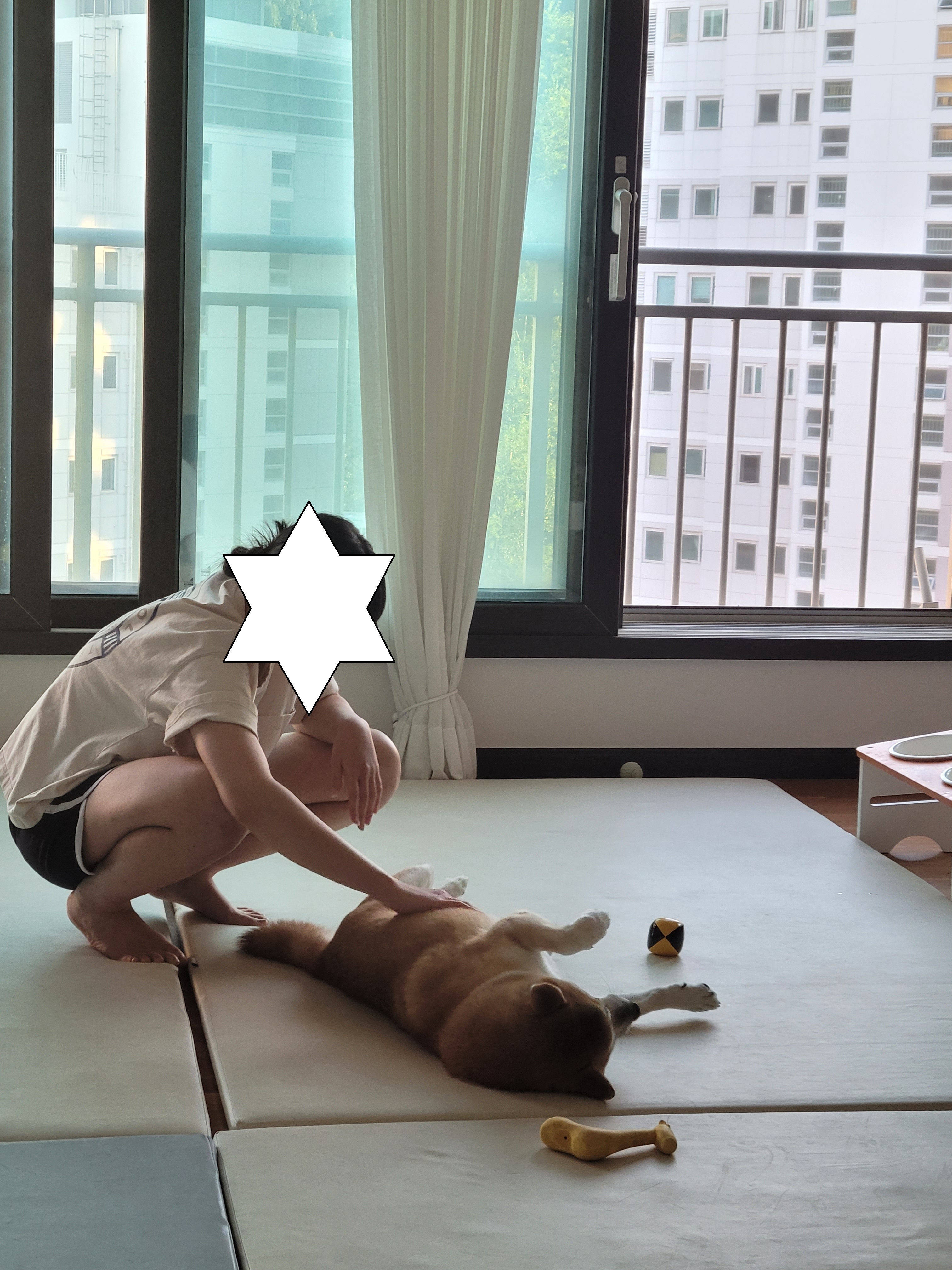 보령 뚱이(뚱땅)와 함께한 1년