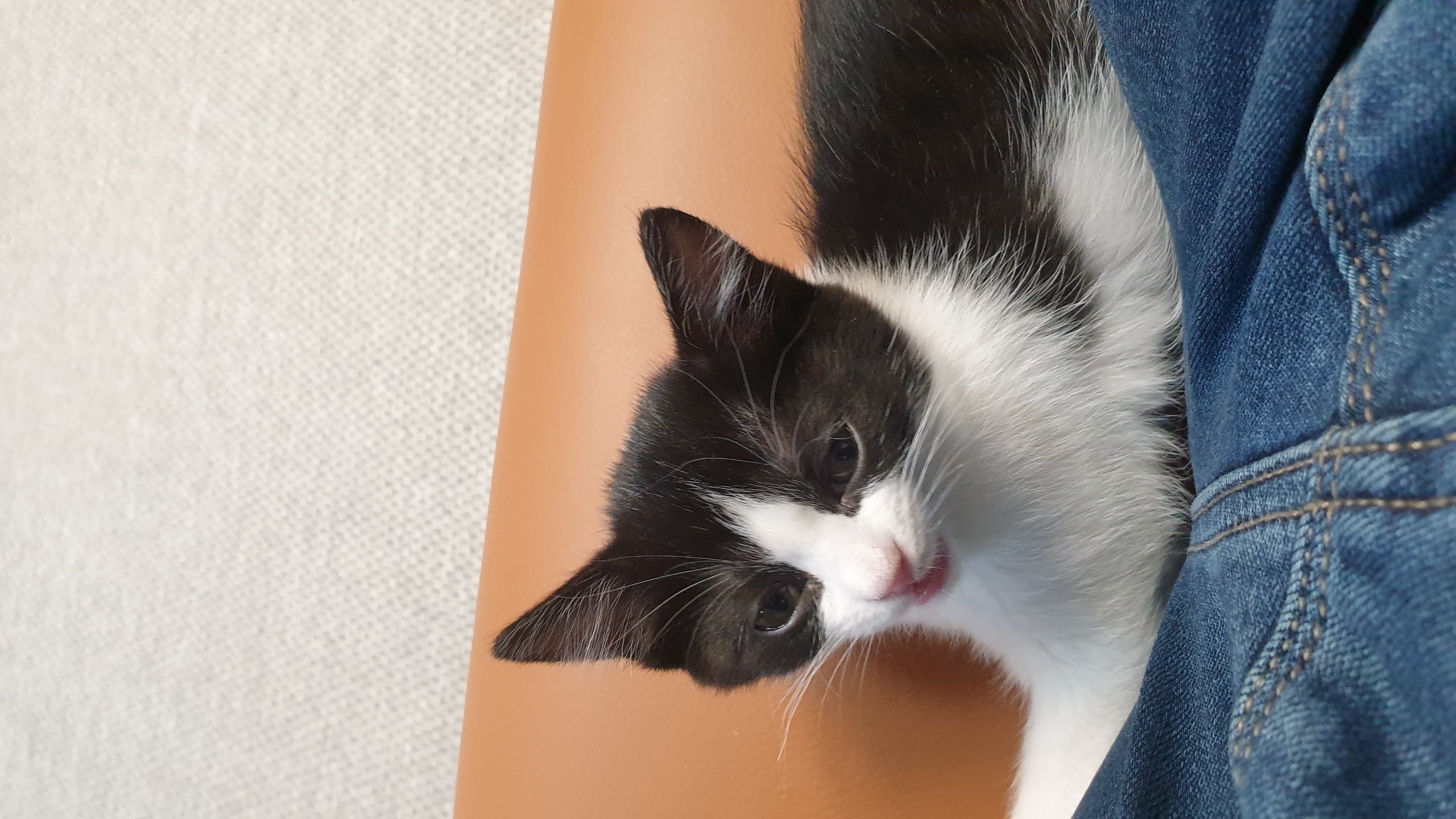 안녕하세요, 요~다 입니다. (초록이)