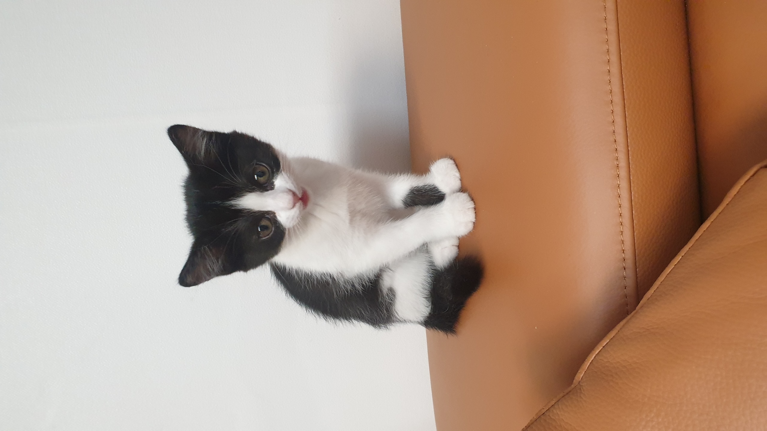 안녕하세요, 요~다 입니다. (초록이)