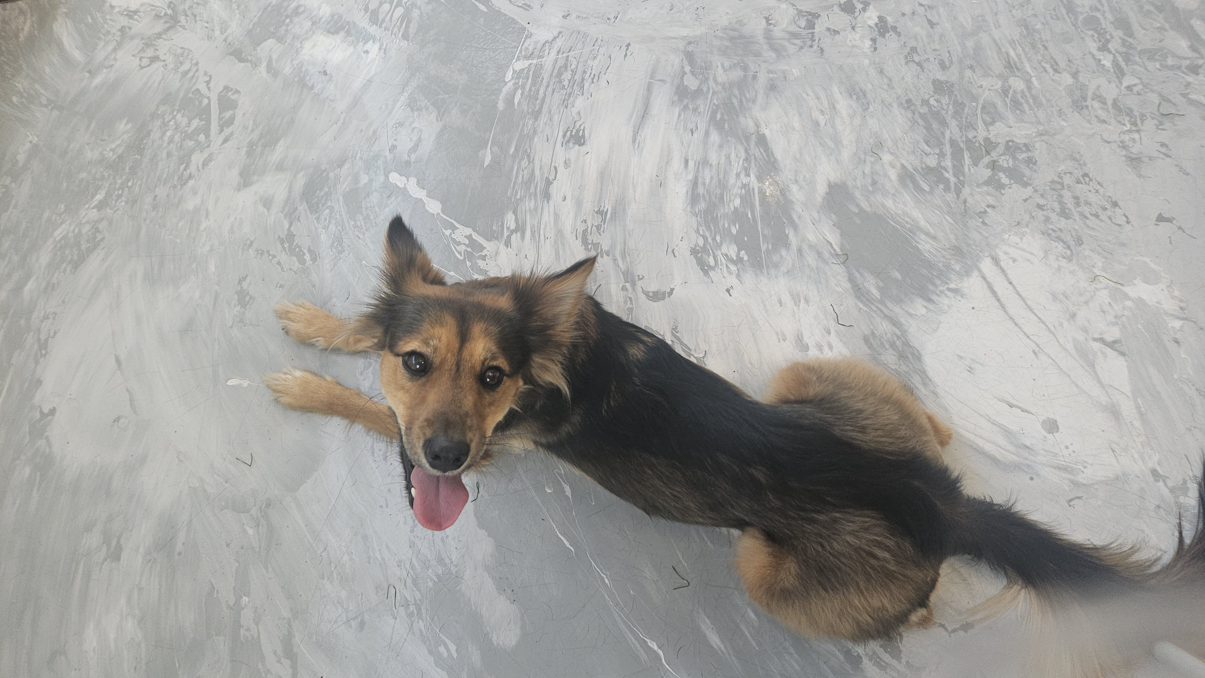 마리아와 한 해의 절반