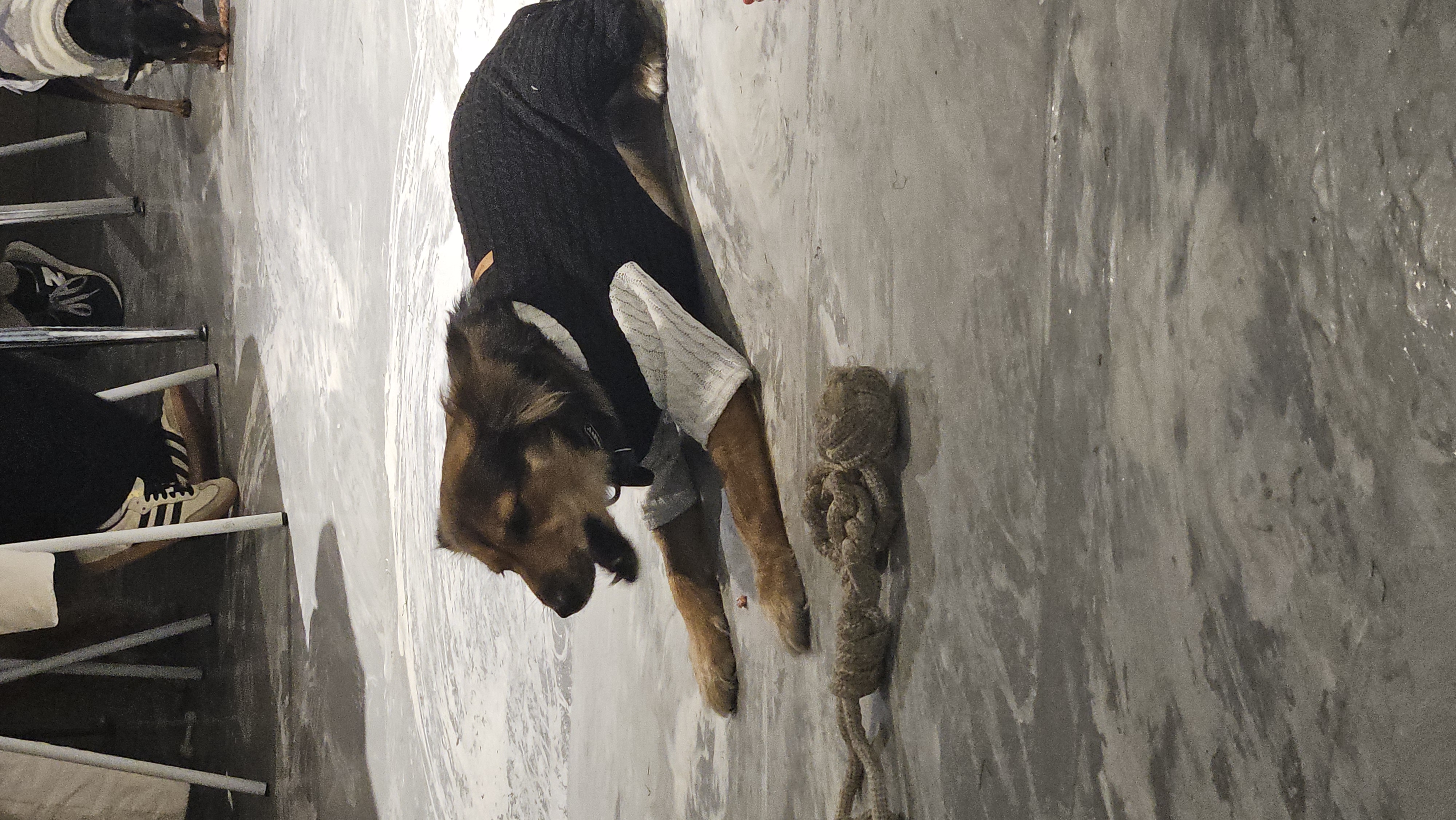 마리아와 한 해의 절반