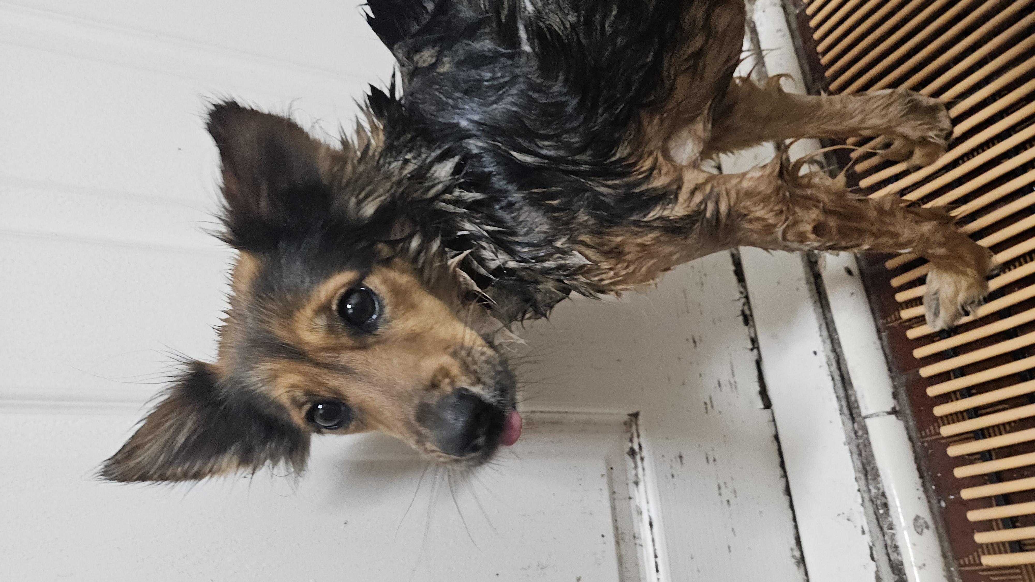 마리아와 한 해의 절반