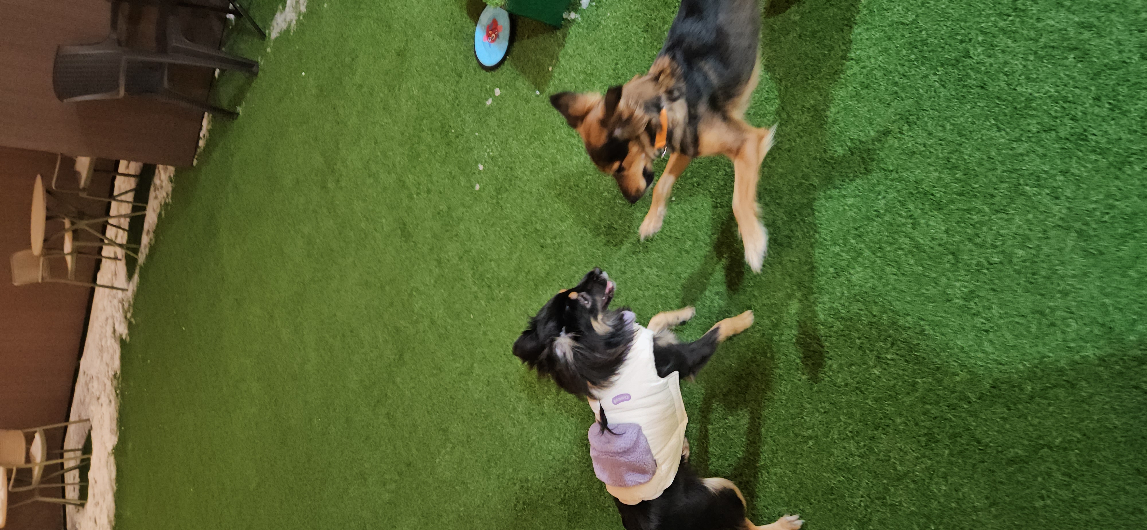 마리아와 한 해의 절반