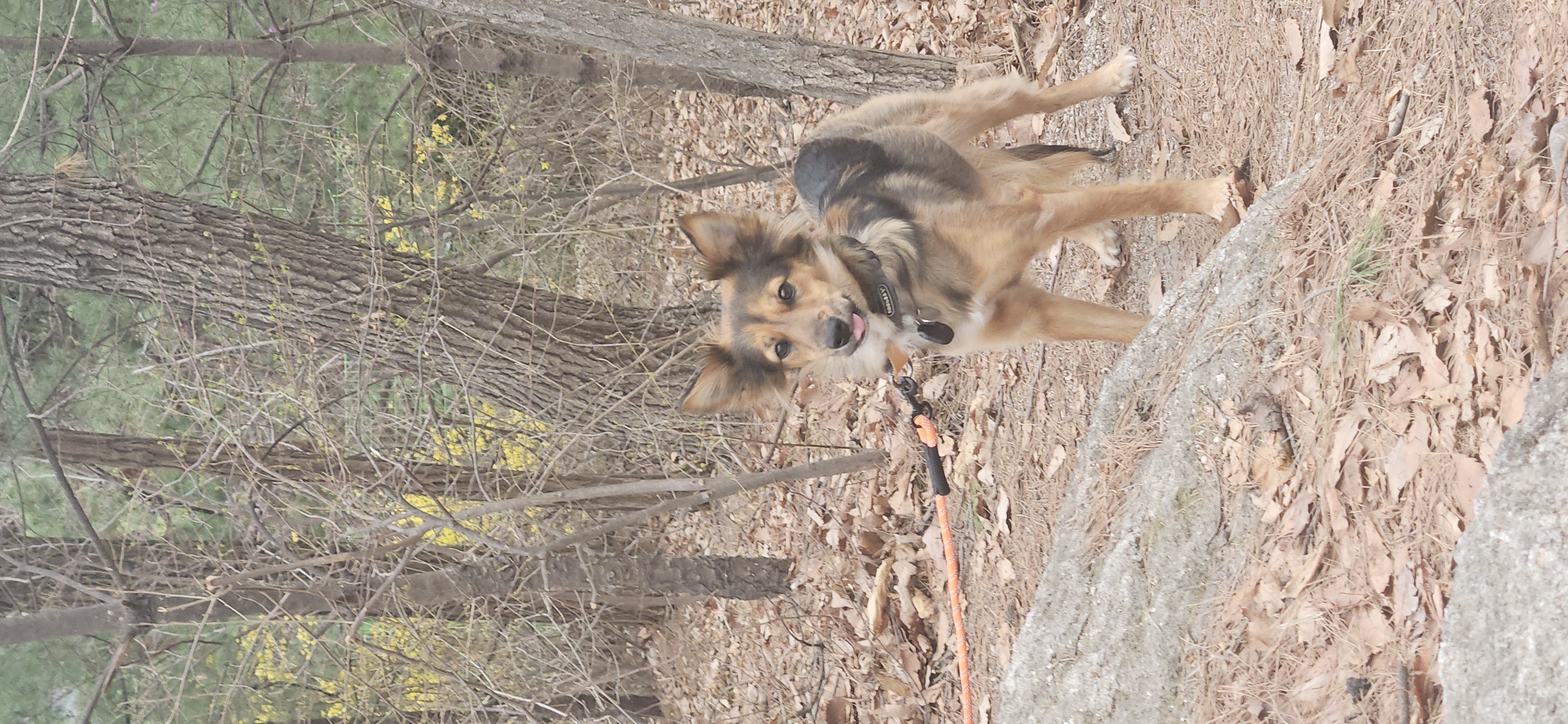 마리아와 한 해의 절반