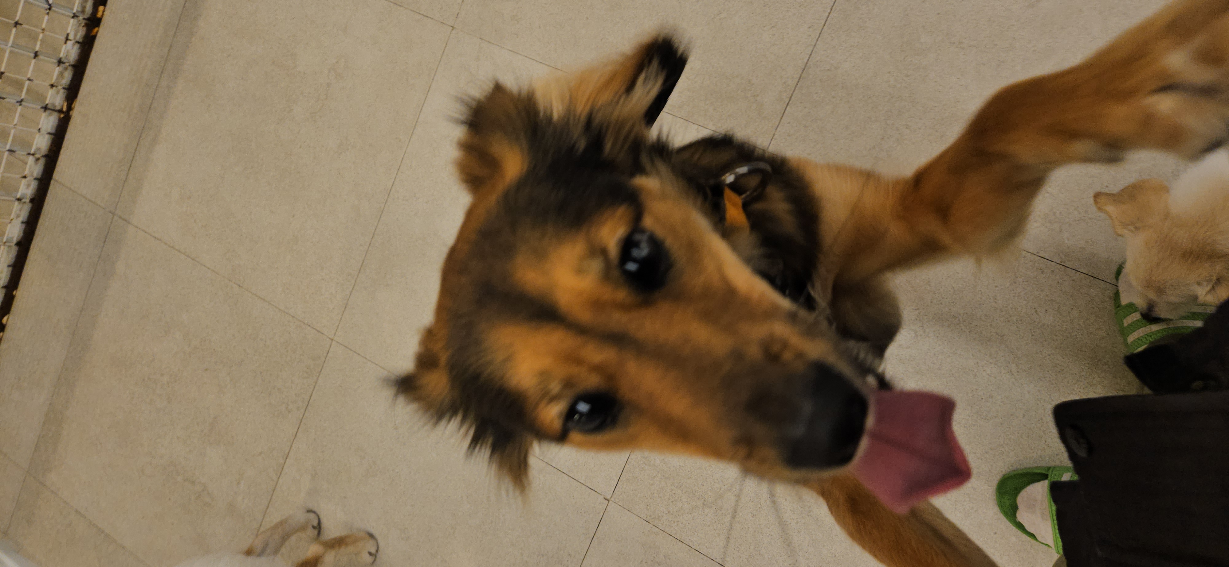 마리아와 한 해의 절반