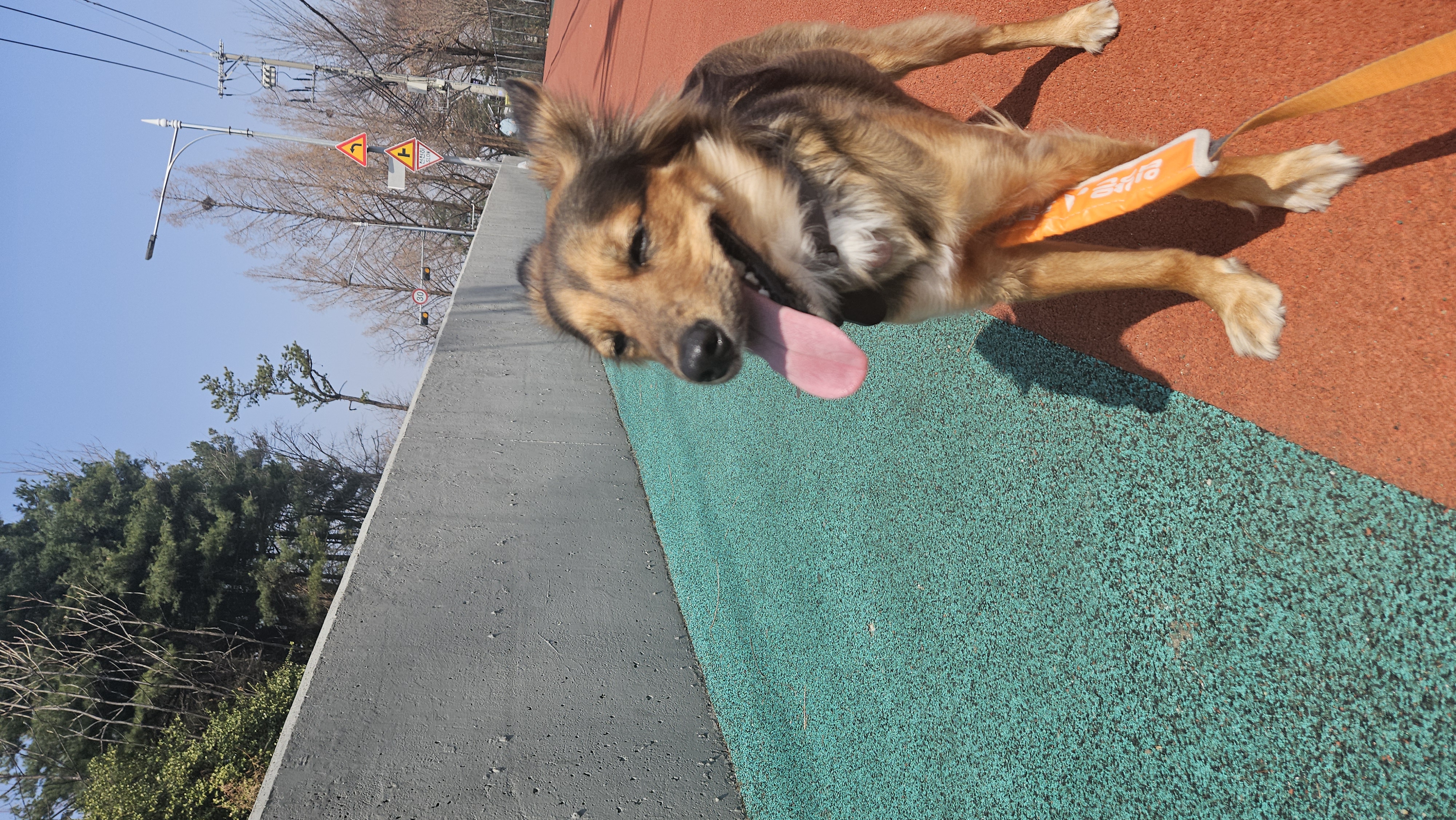 마리아와 한 해의 절반