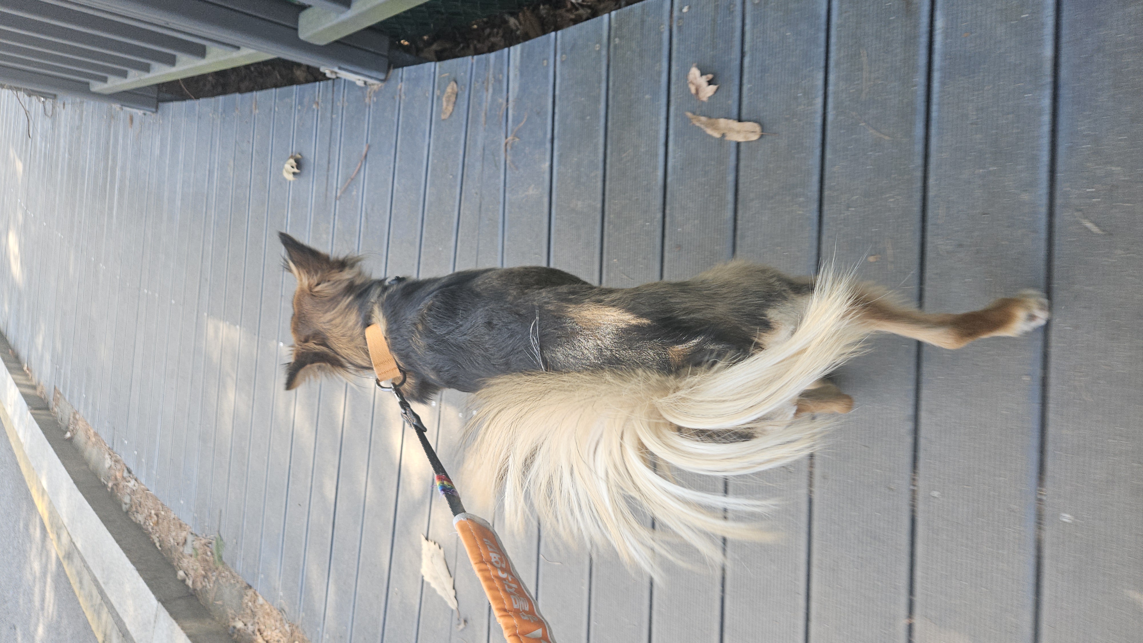 마리아와 한 해의 절반