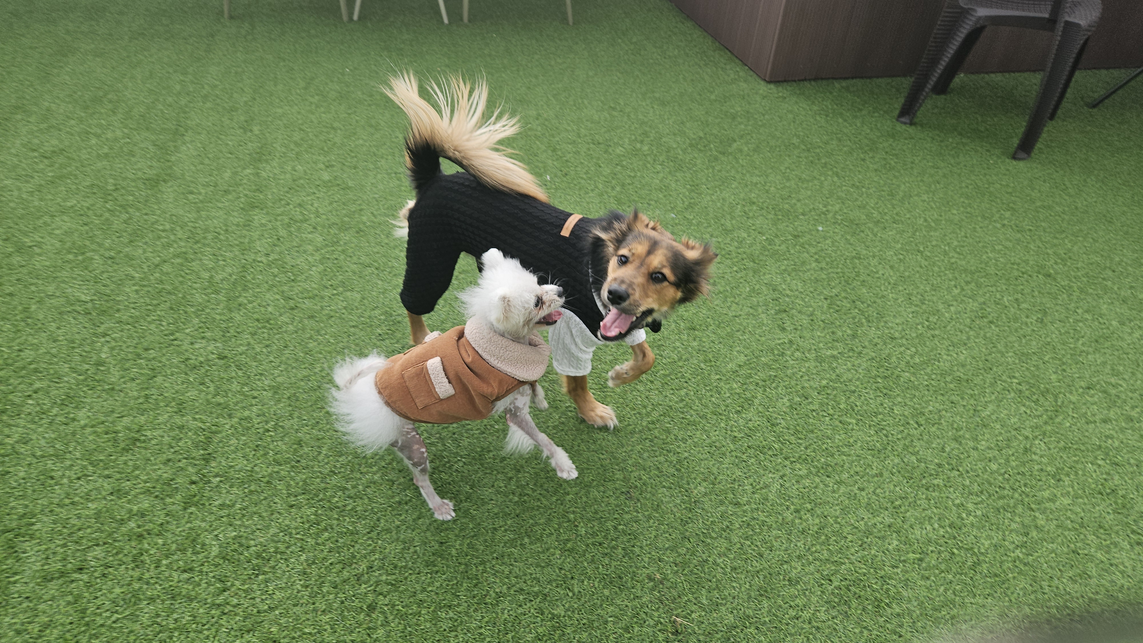 마리아와 한 해의 절반