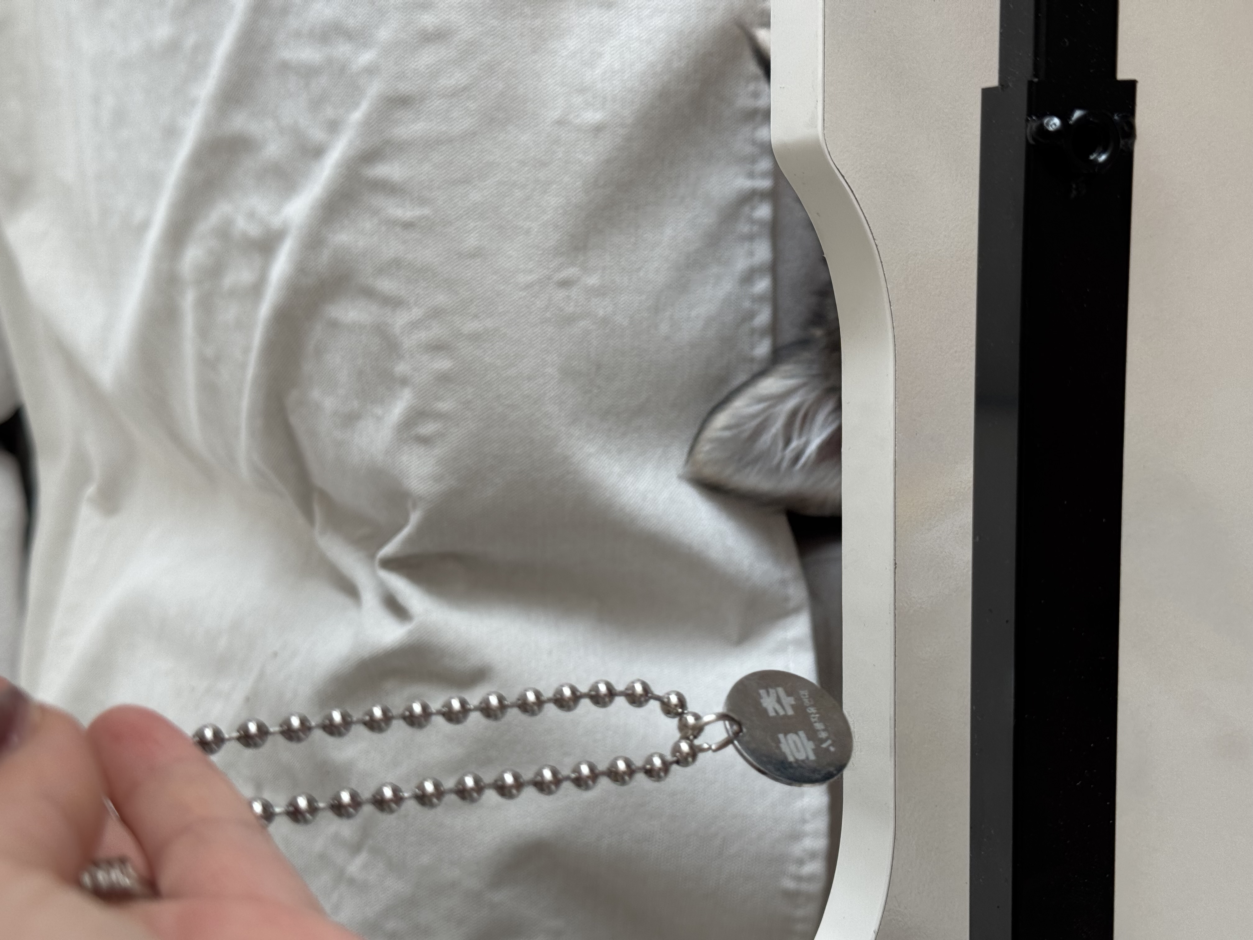 후추(대복이) 한달차입니당 😋